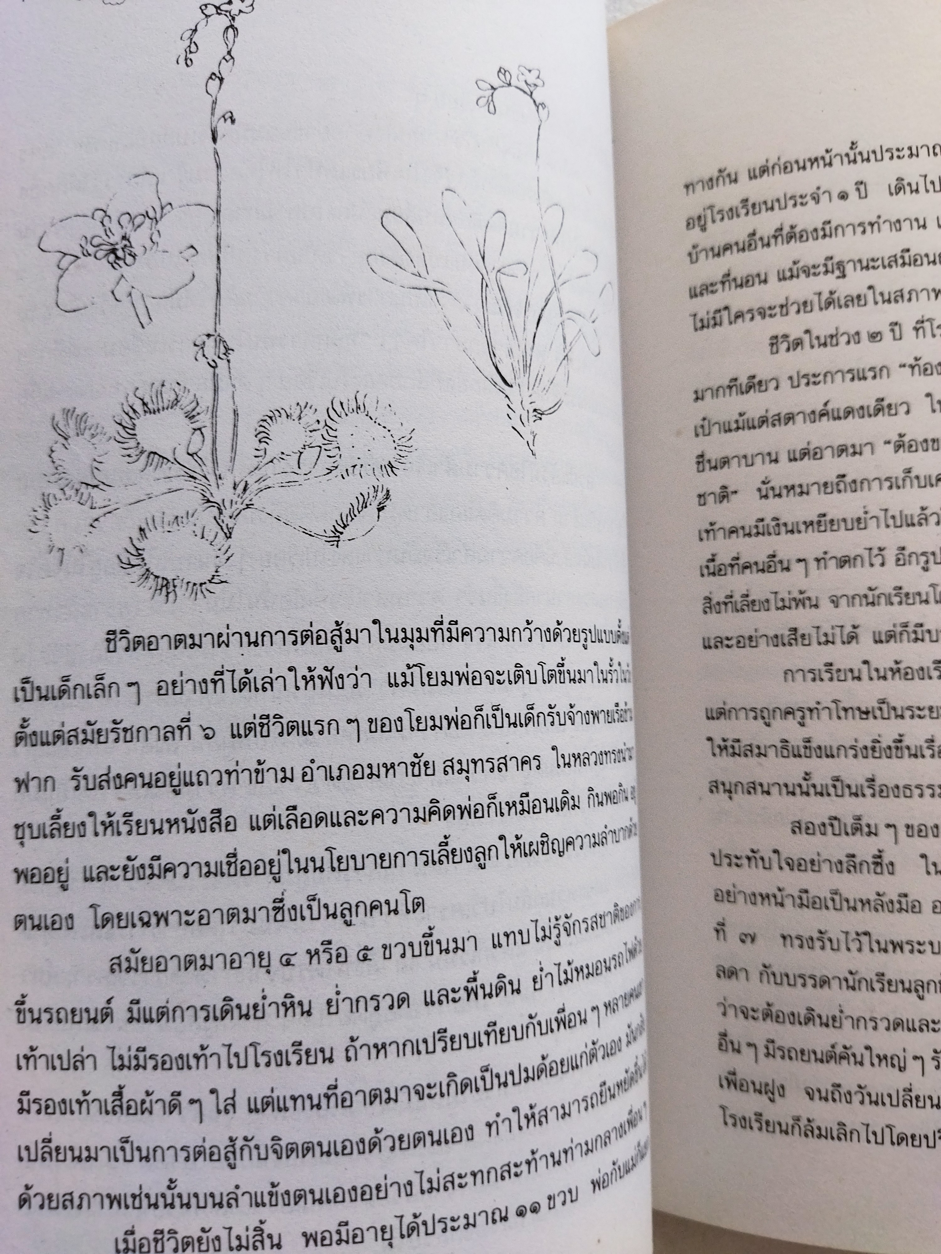 หอมกลิ่นกล้วยไม้ / ระพี สาคริก