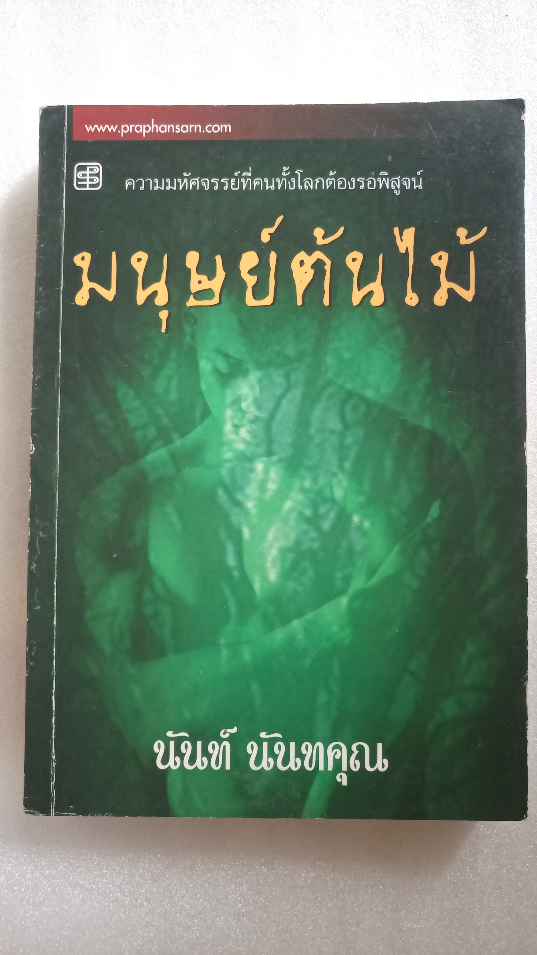 มนุษย์ต้นไม้ / นันท์ นันทคุณ
