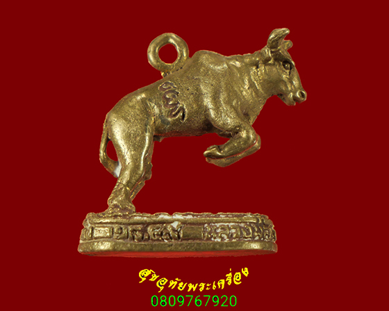 732.วัวธนู หลวงพ่อเขียน วัดกระทิง จ.จันทบุรี ปี2549 เข้มขลัง สวยสมบูรณ์เดิมครับ***2