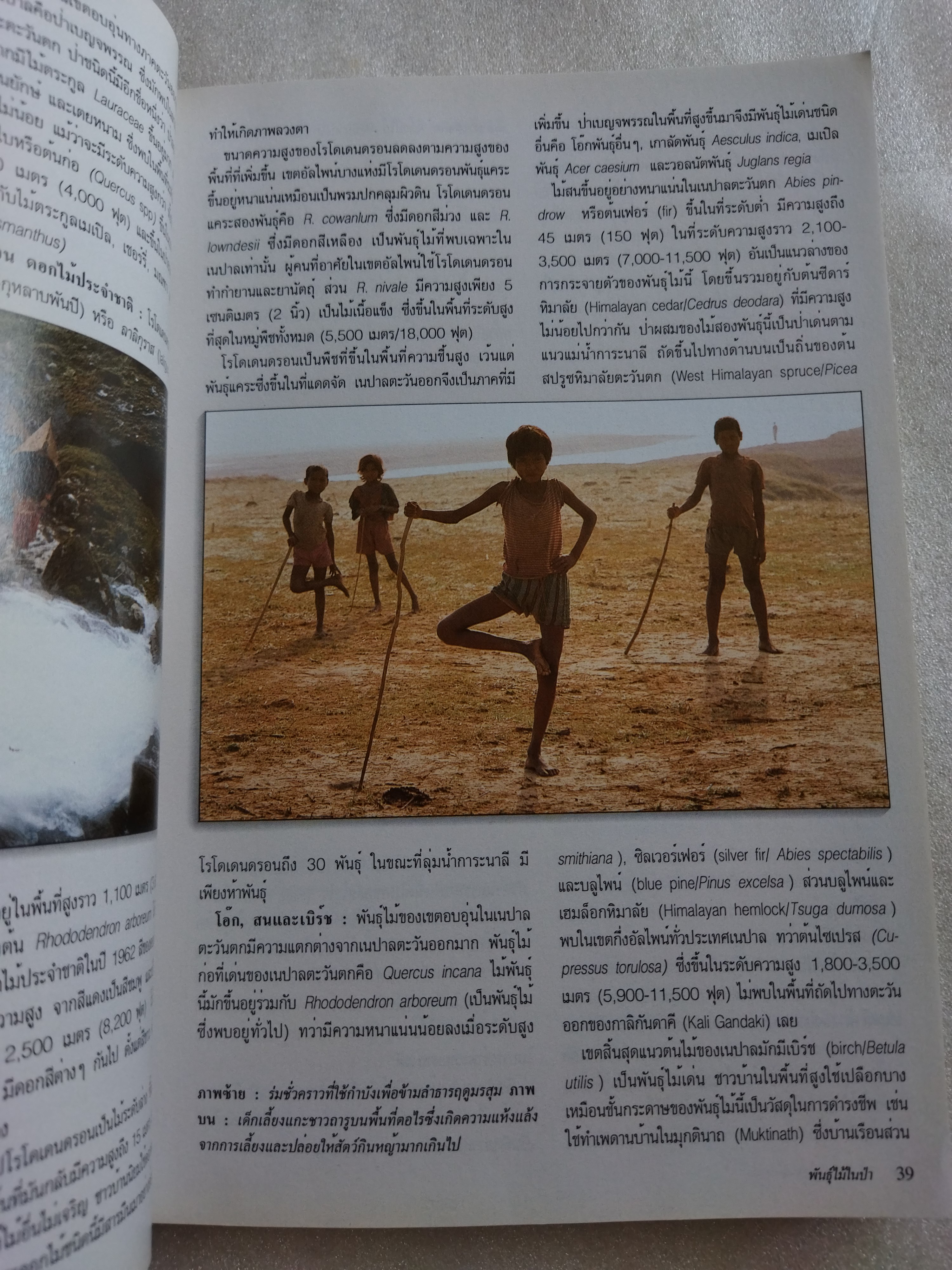 หน้าต่างสู่โลกกว้าง เนปาล