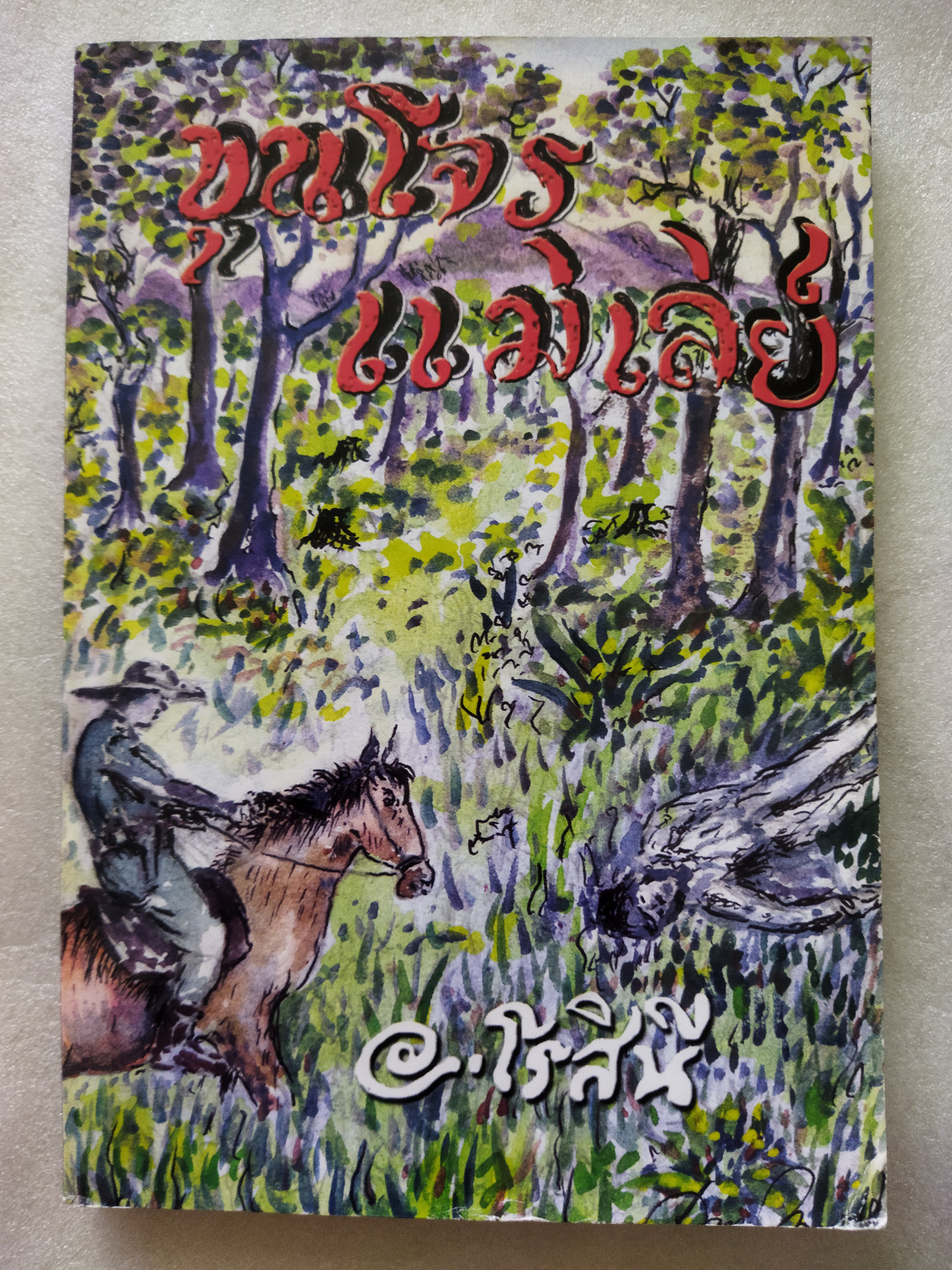 ขุนโจรแม่เล่ย์ / อ.โรสินี