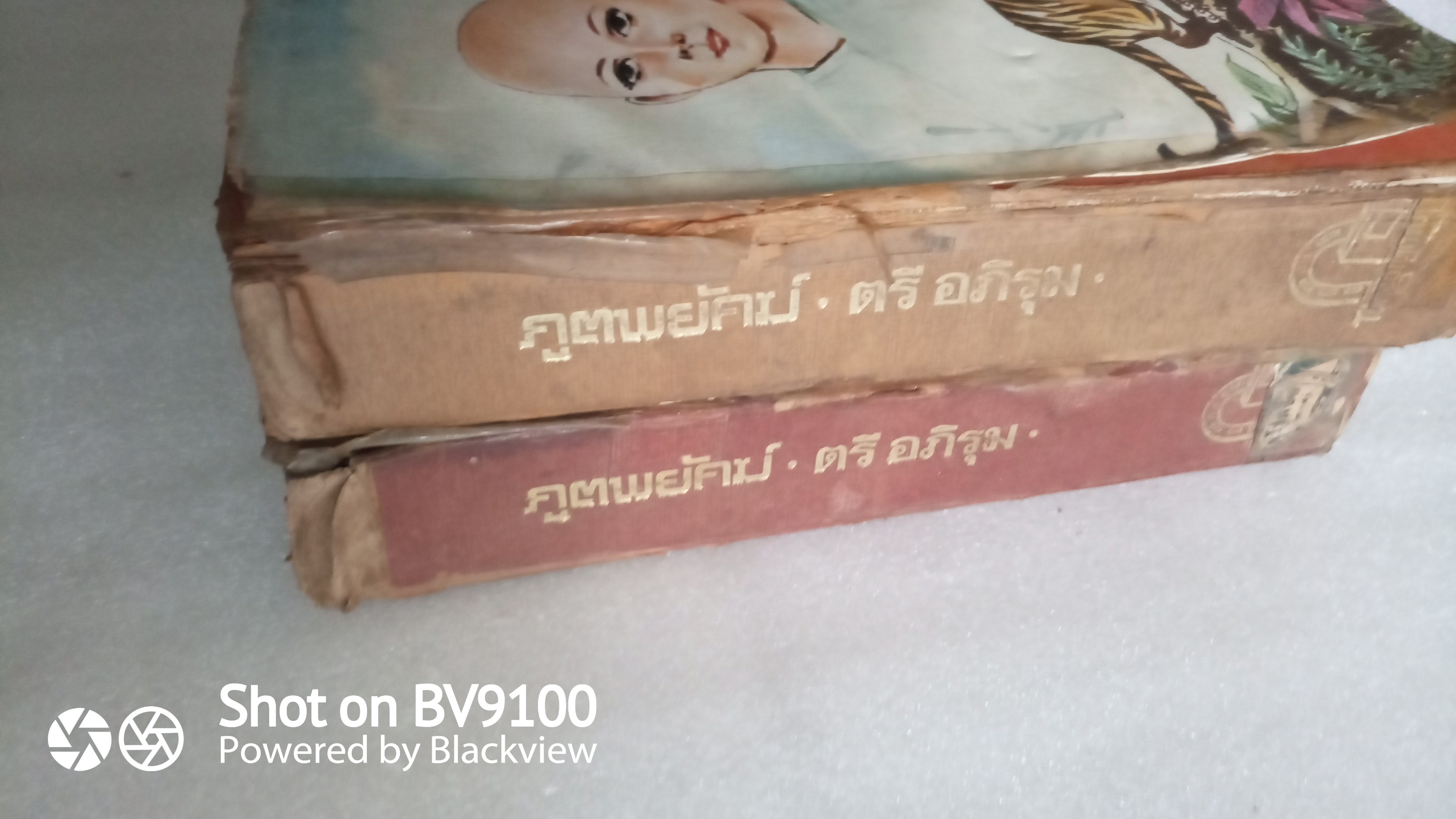 ภูติพยัคฆ์ *ตำหนิ / ตรี อภิรุม