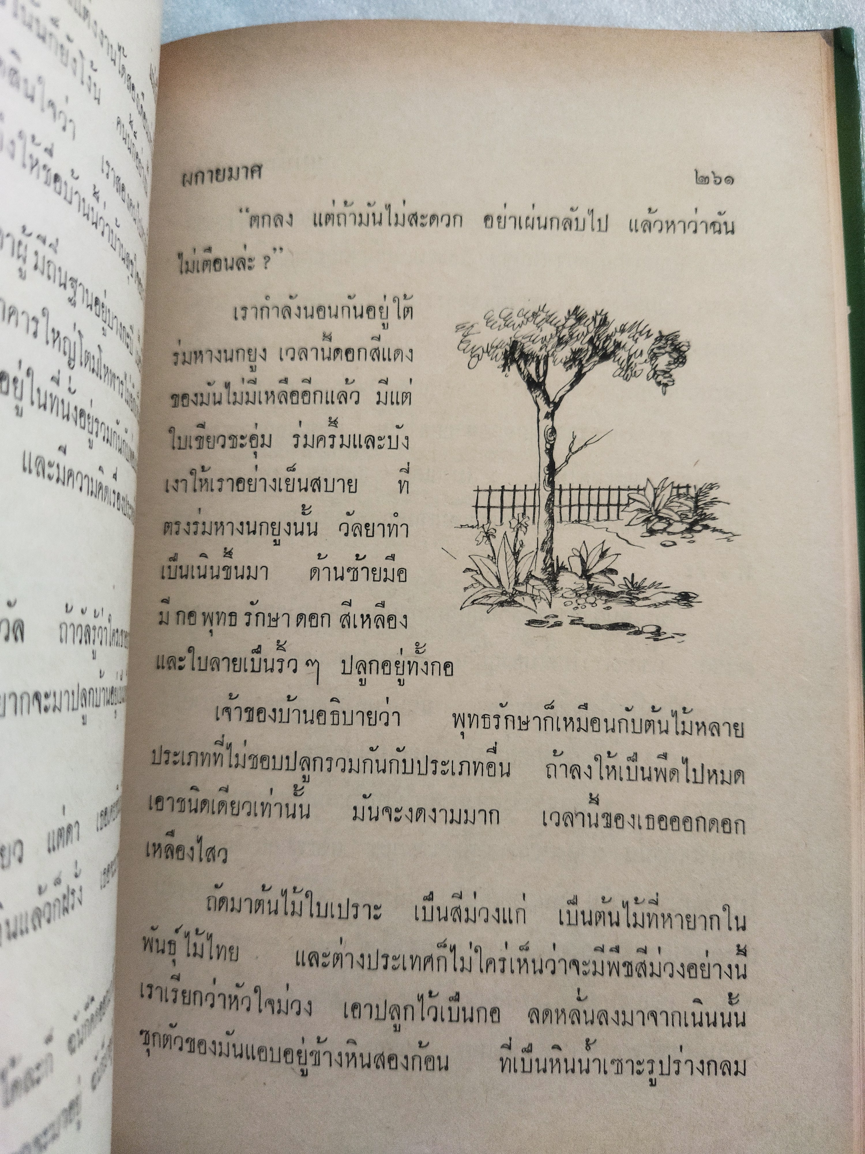 แม่บ้านแม่เรือน / ผกายมาศ *ตำหนิ