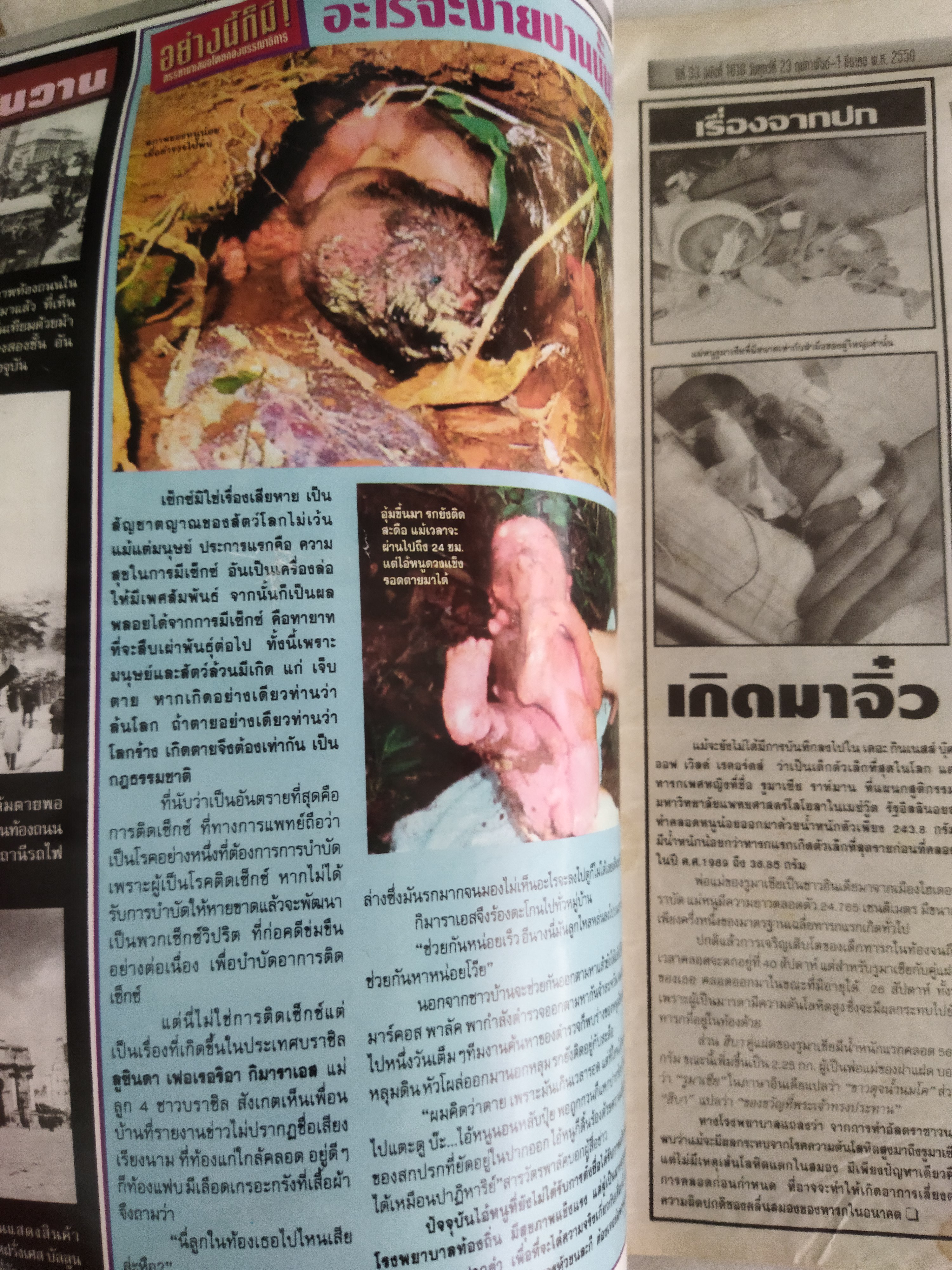 นิตยสาร แปลก 3 เล่ม