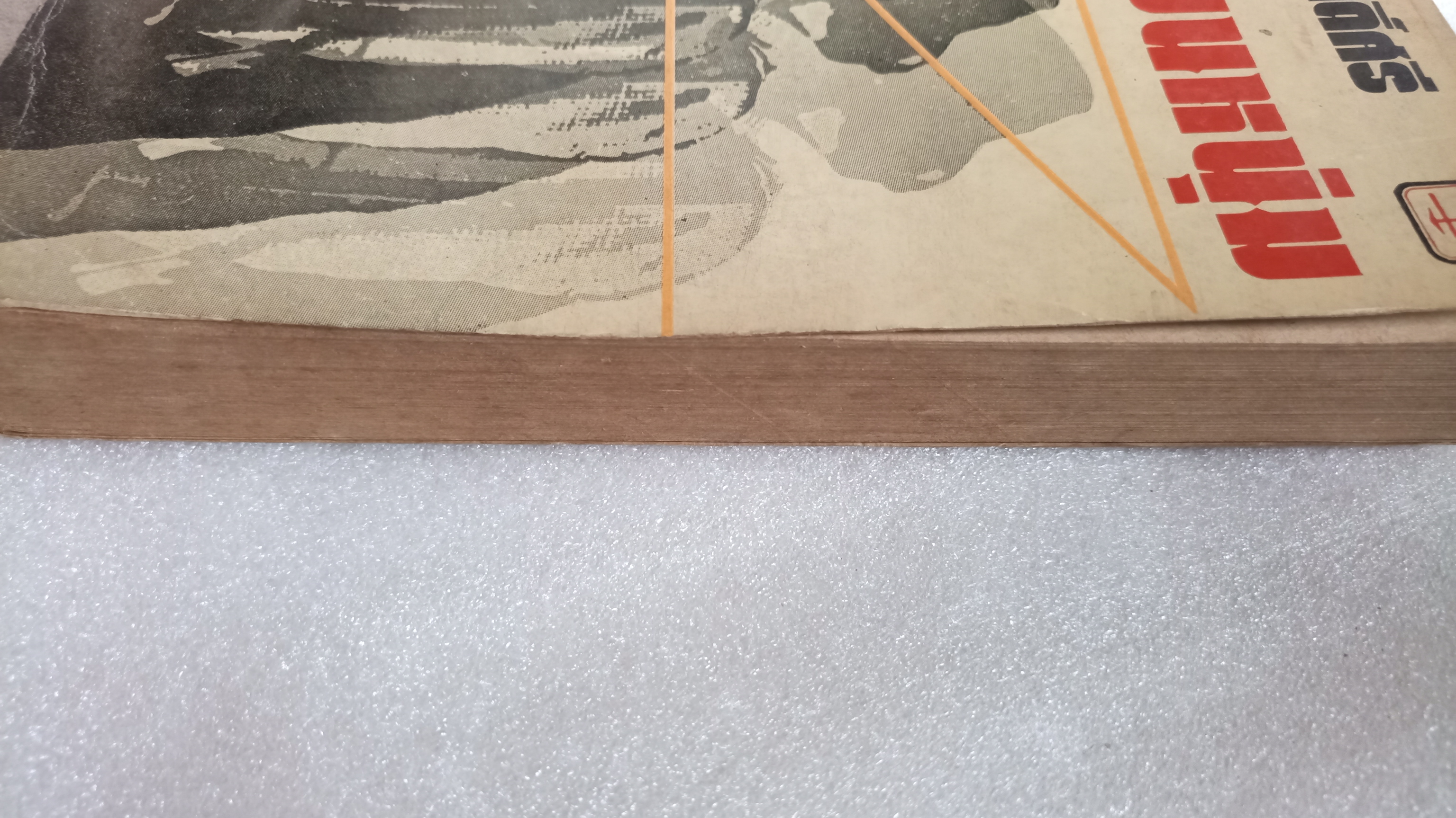 นักเขียนหนุ่ม / สุชาติ สวัสดิ์ศรี