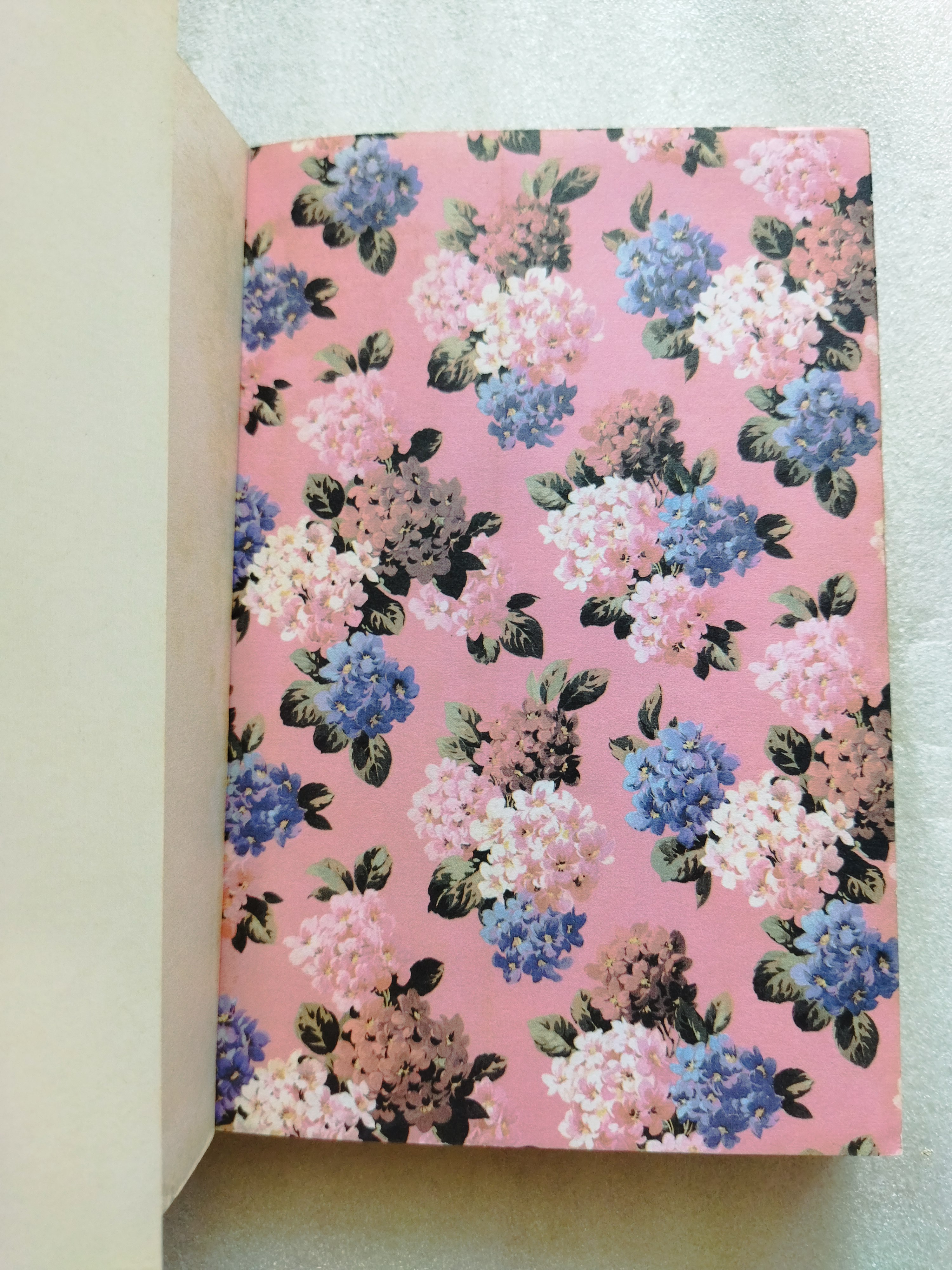 ดอกฟ้า คนบ้า และความรัก The Penthouses / Elleston Trevor