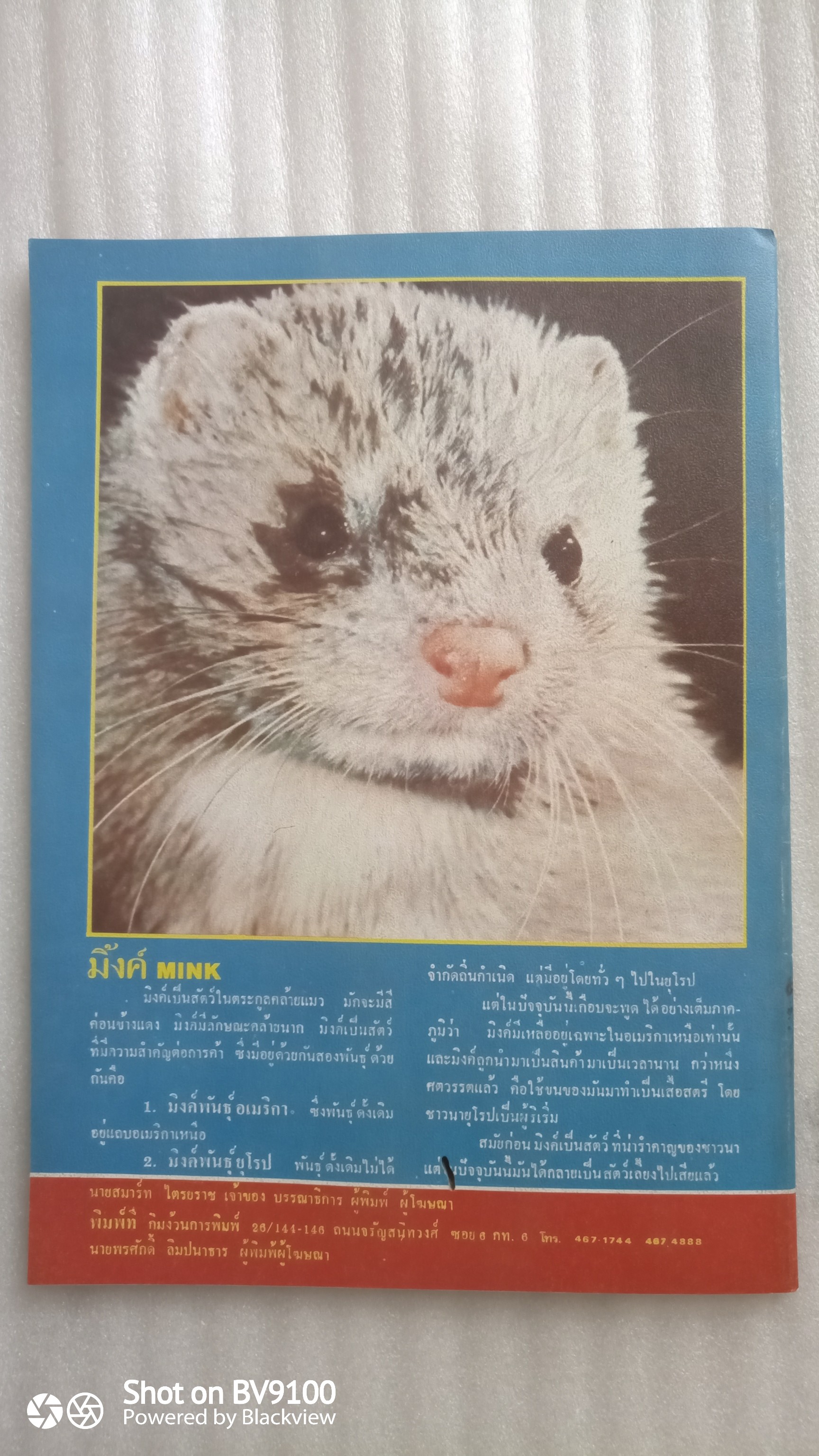 เรื่องเก่า 2523