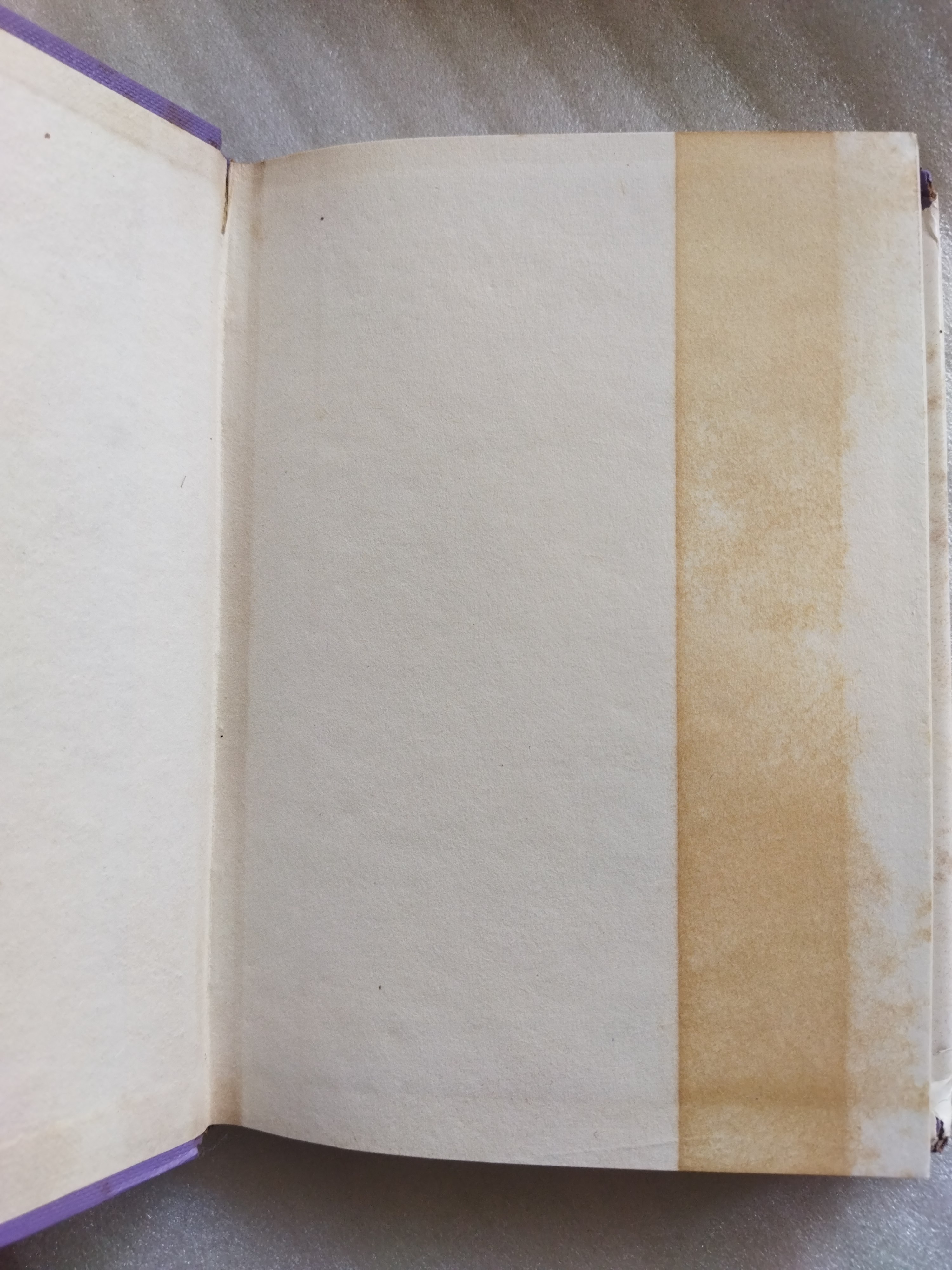 สาวสาวสวยสวย