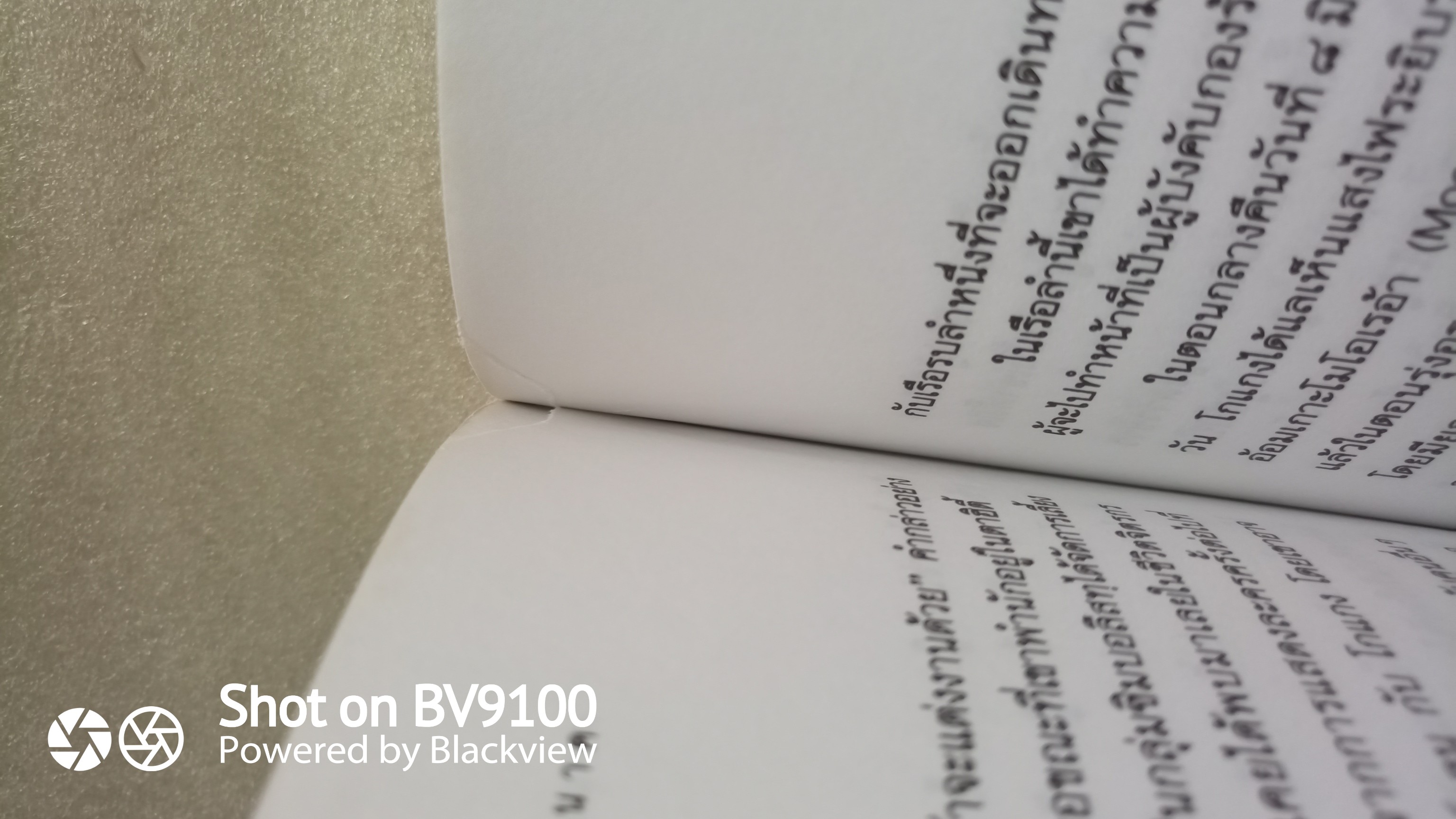 ชีวิตศิลปิน