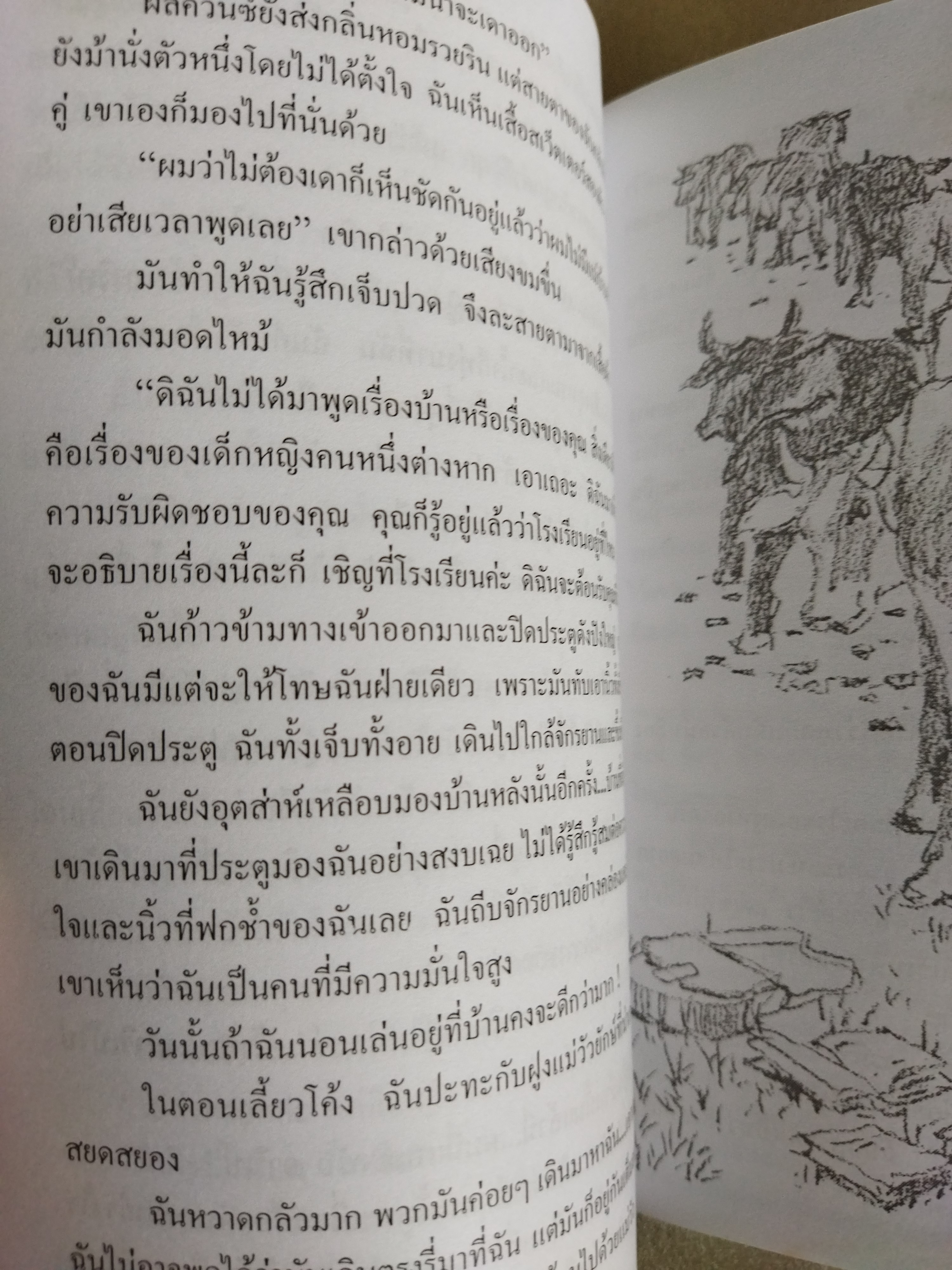ปลูกฝันไว้ในแผ่นดิน / ลูเซีย-บาเกดาโน่