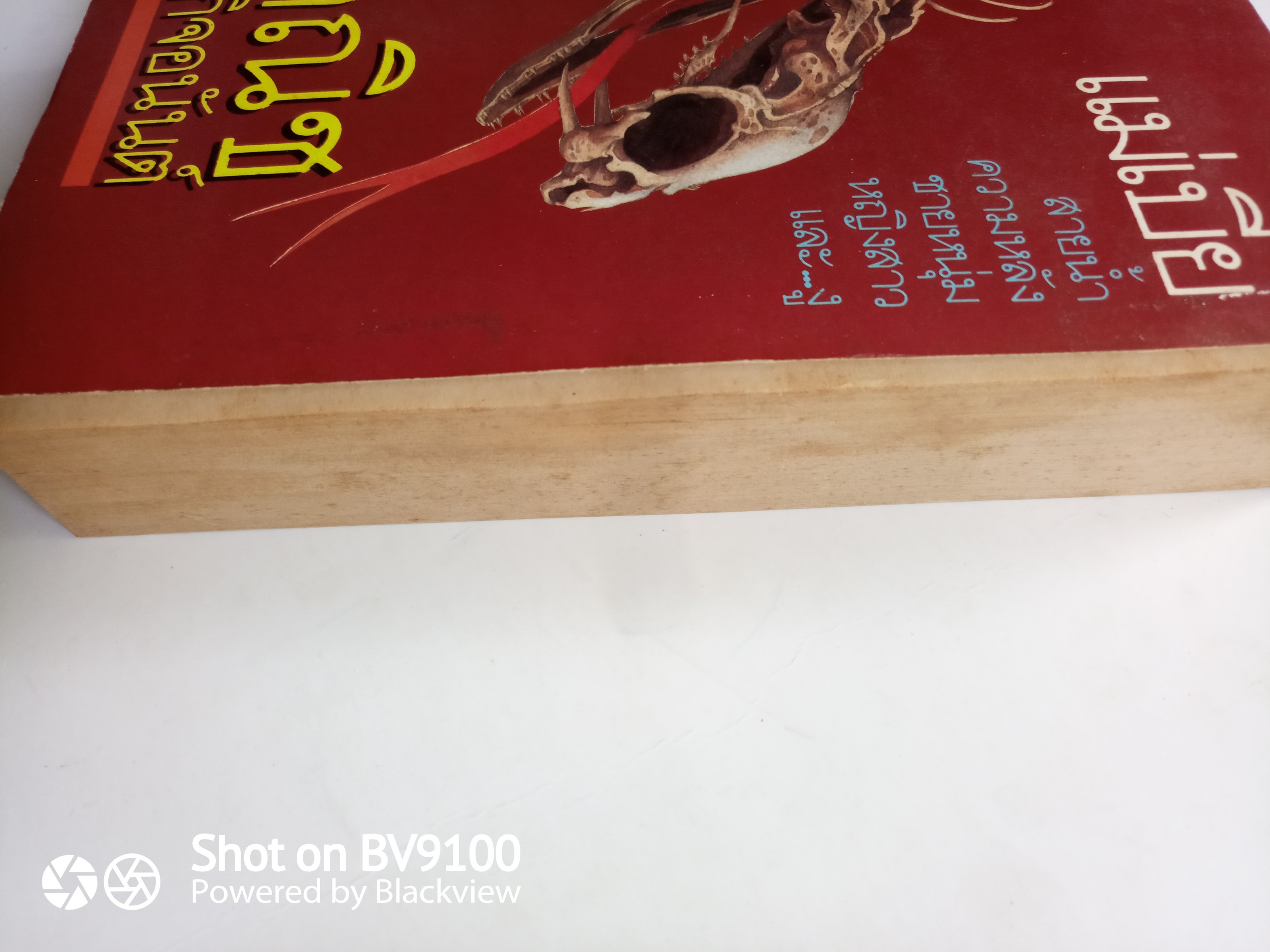 แม่เบี้ย