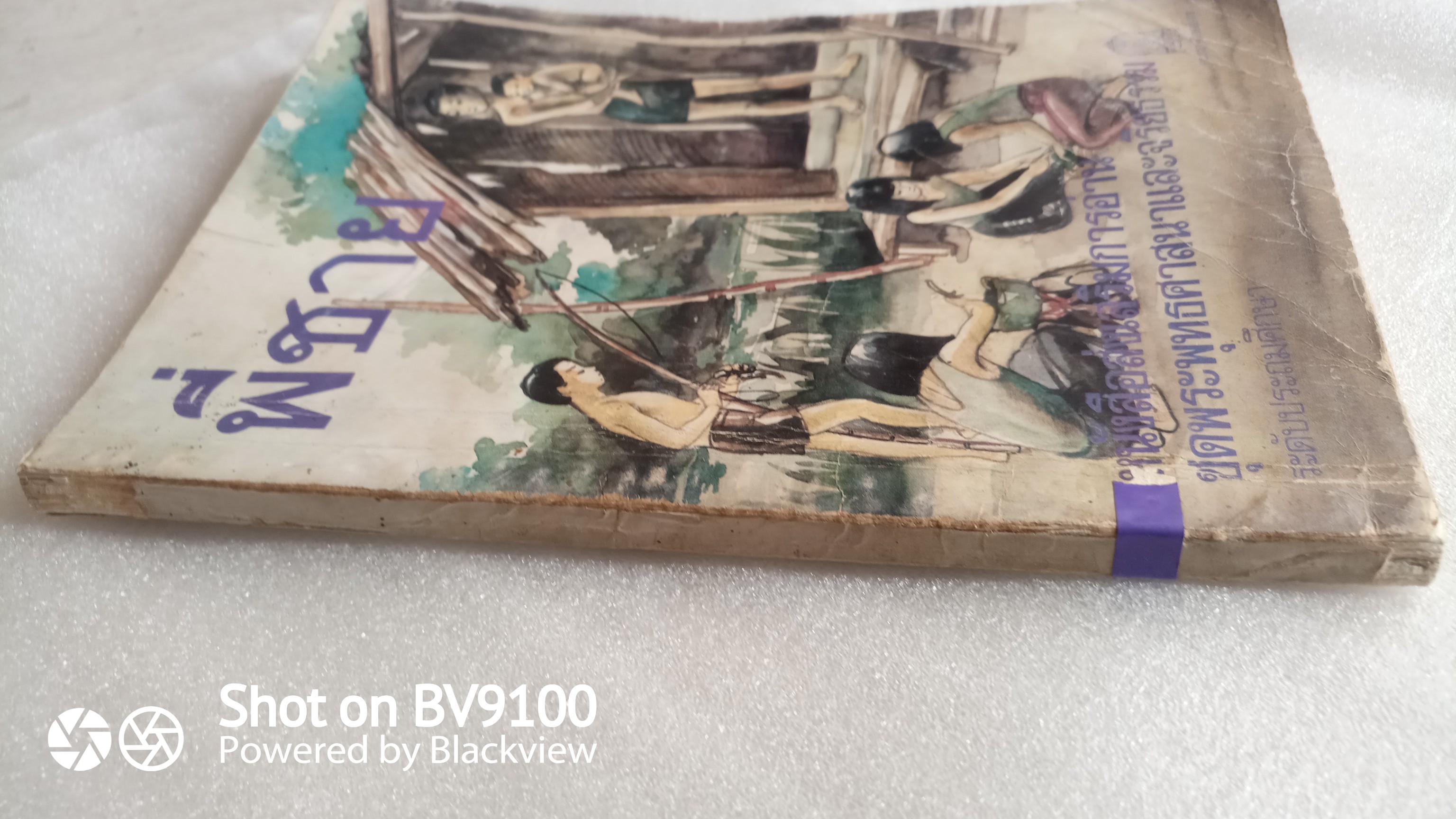 พี่ชาย / นงไฉน ปริญญาธวัช (กาญจนา นาคนันท์)