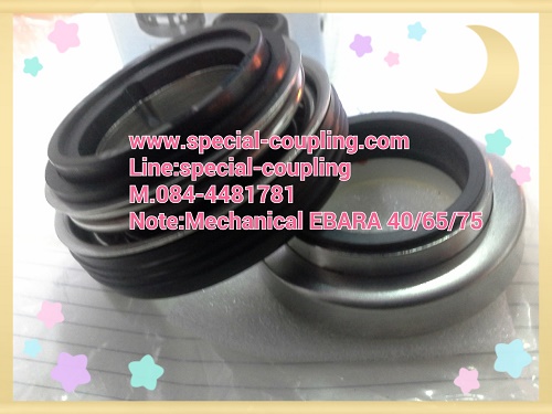 Mechanical Seal EBARA (แมคคานิคอลซีล)