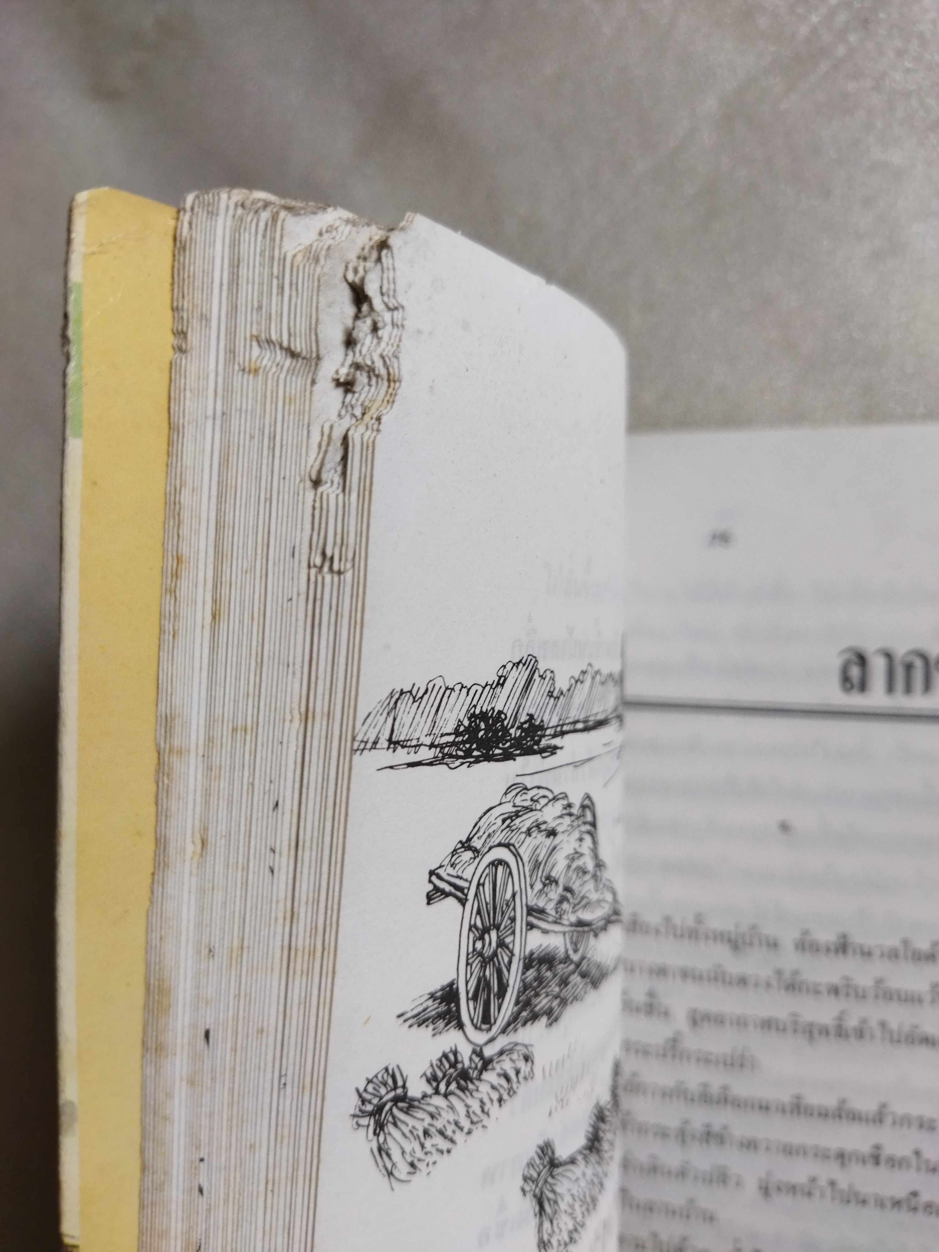 ลูกชาวนา / ละเอียด นวลปลั่ง