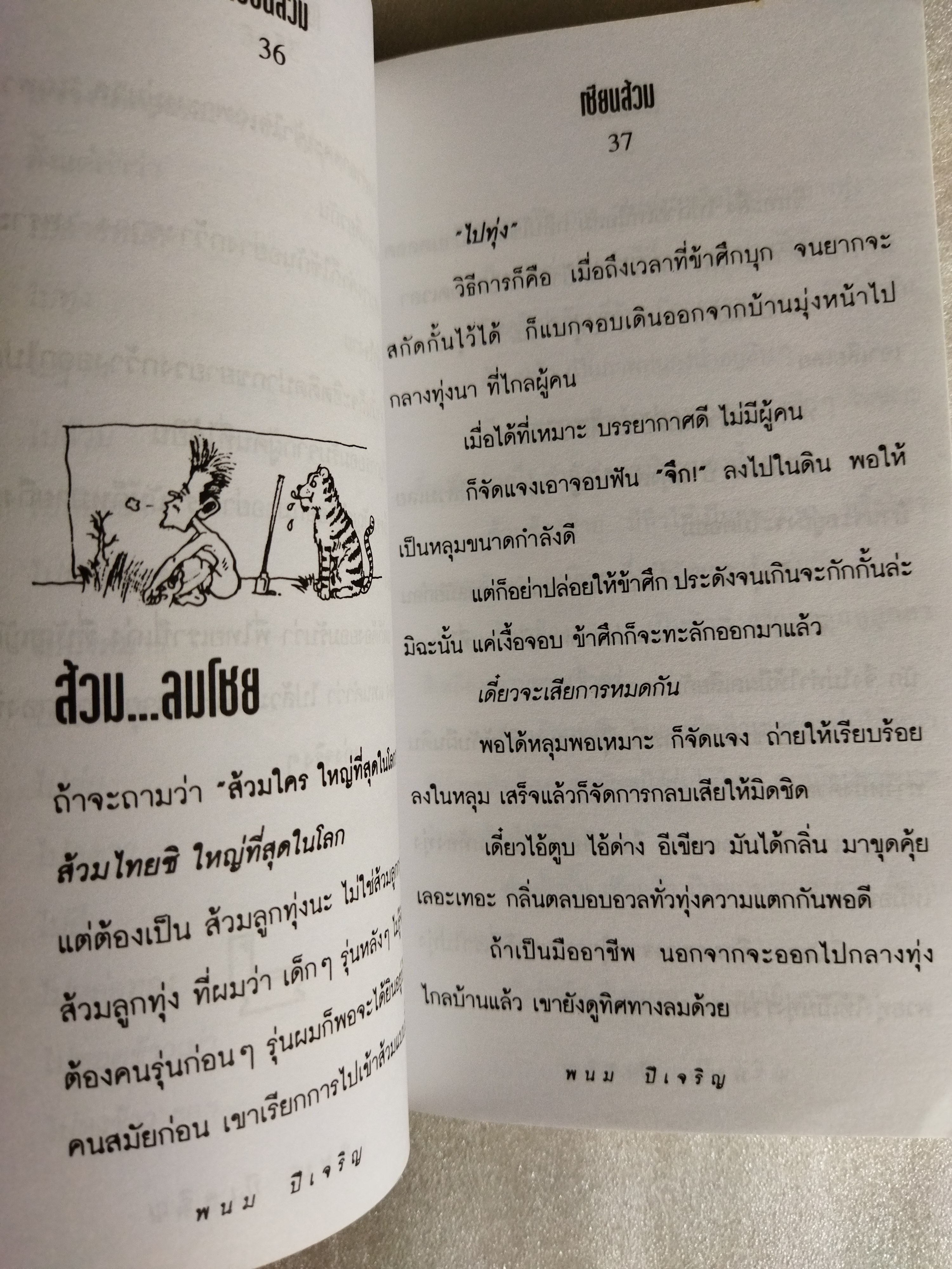 เซียนส้วม / พนม ปีเจริญ