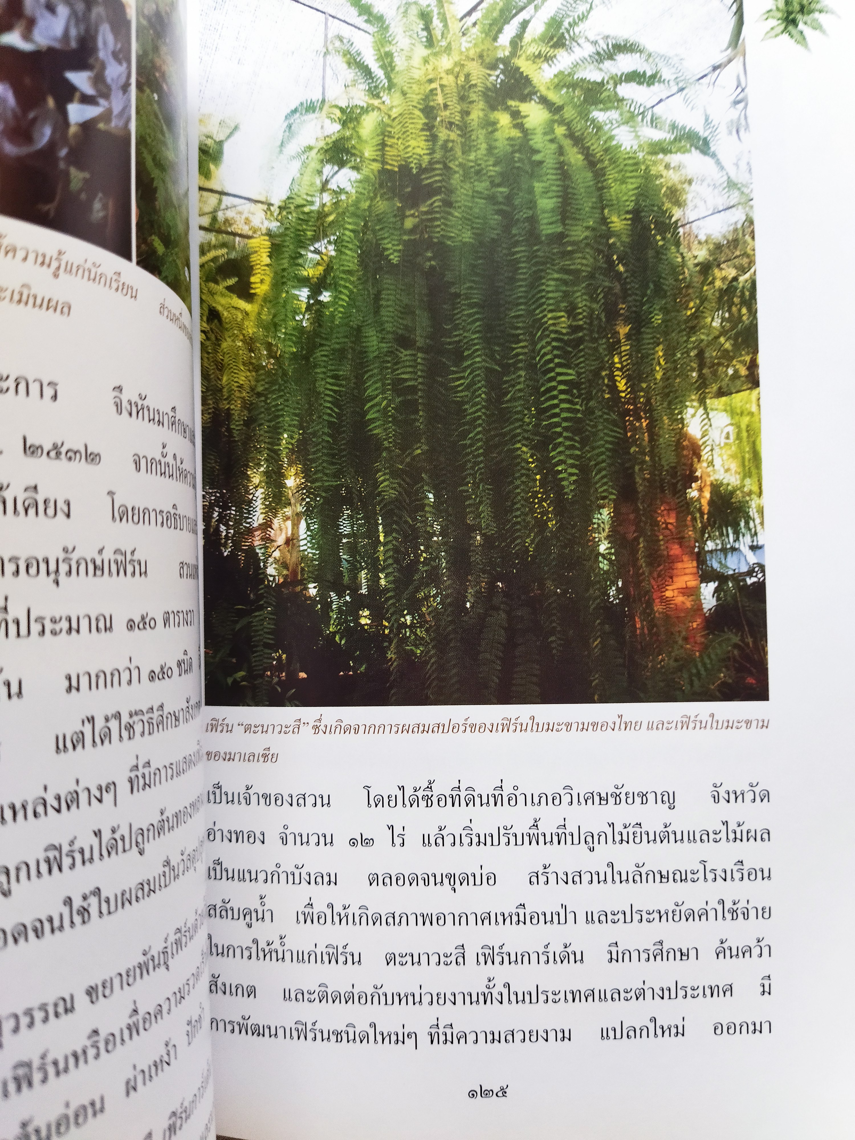 สารานุกรมไทย สำหรับเยาวชน เล่มที่ ๑๓