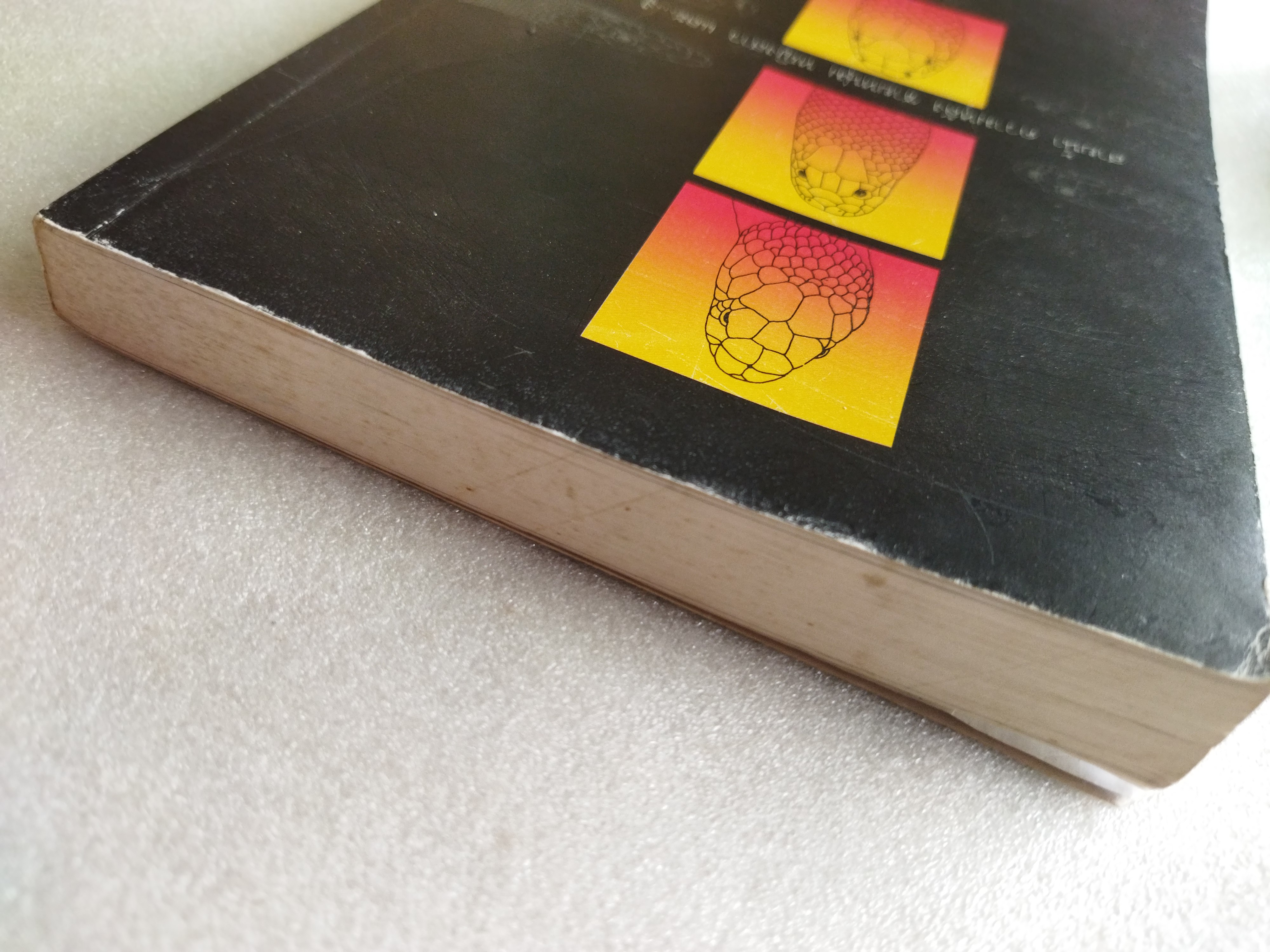 แม่เบี้ย /วาณิช จรุงกิจอนันต์