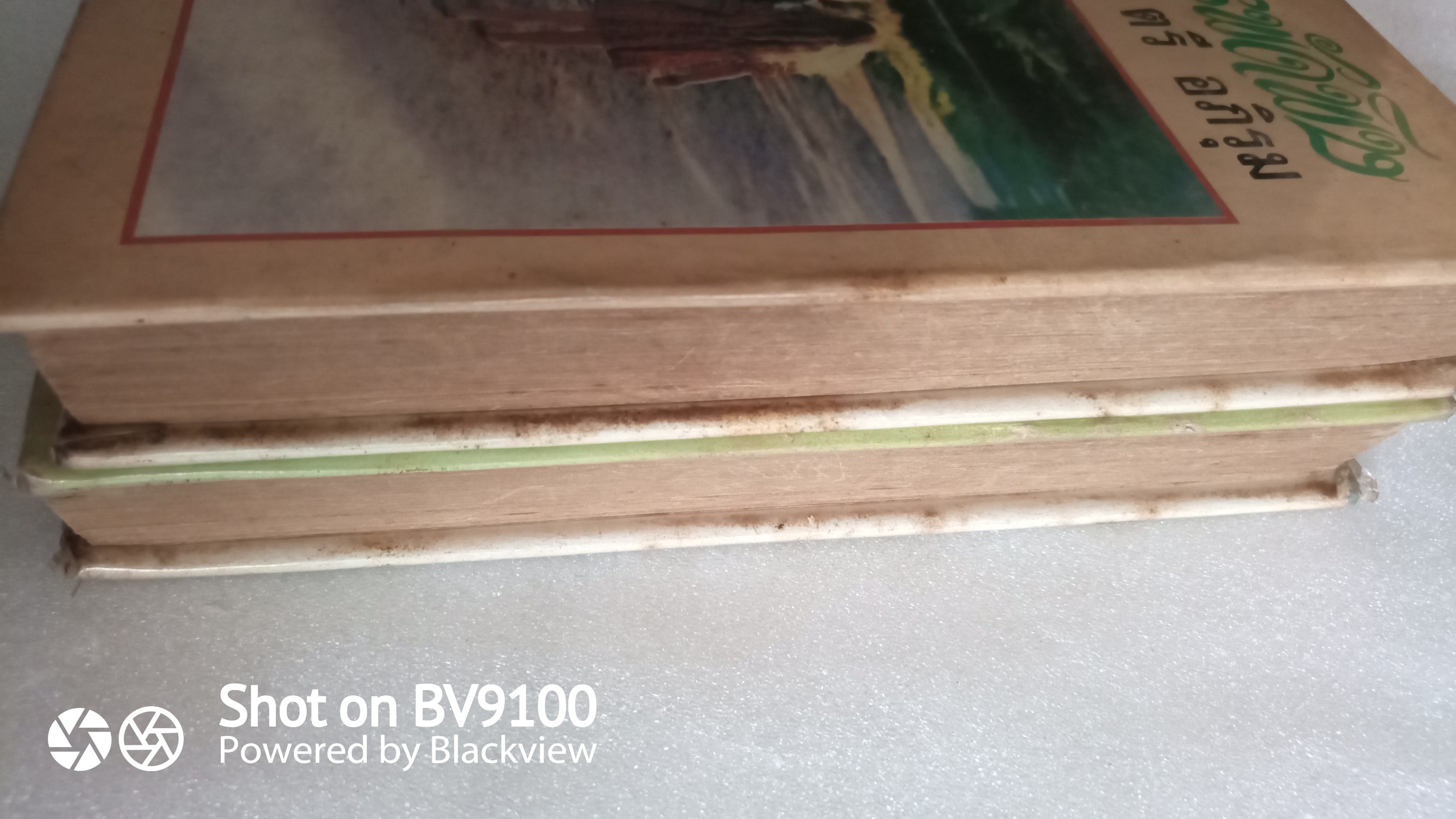 ภูติสารพัดพิษ / ตรี อภิรุม