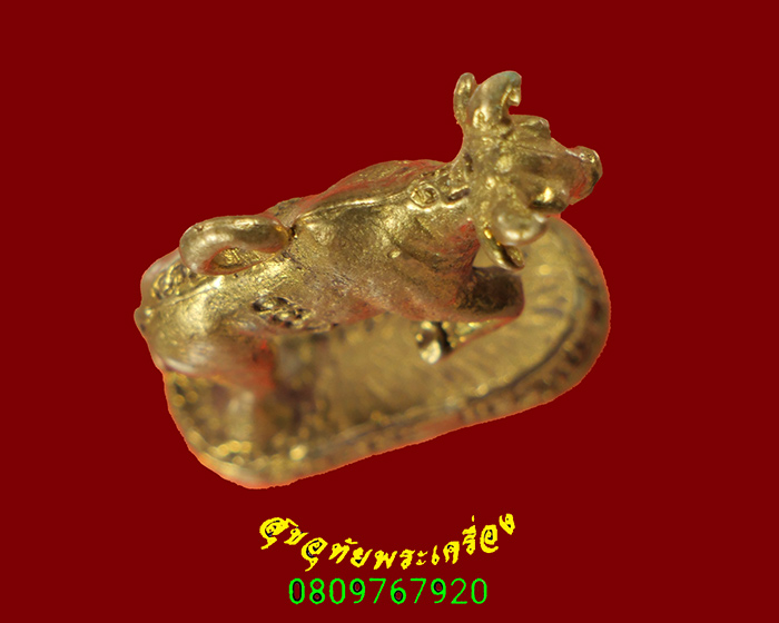 373.วัวธนู หลวงพ่อเขียน วัดกระทิง จ.จันทบุรี ปี2549 เข้มขลัง สวยสมบูรณ์เดิมครับ***3