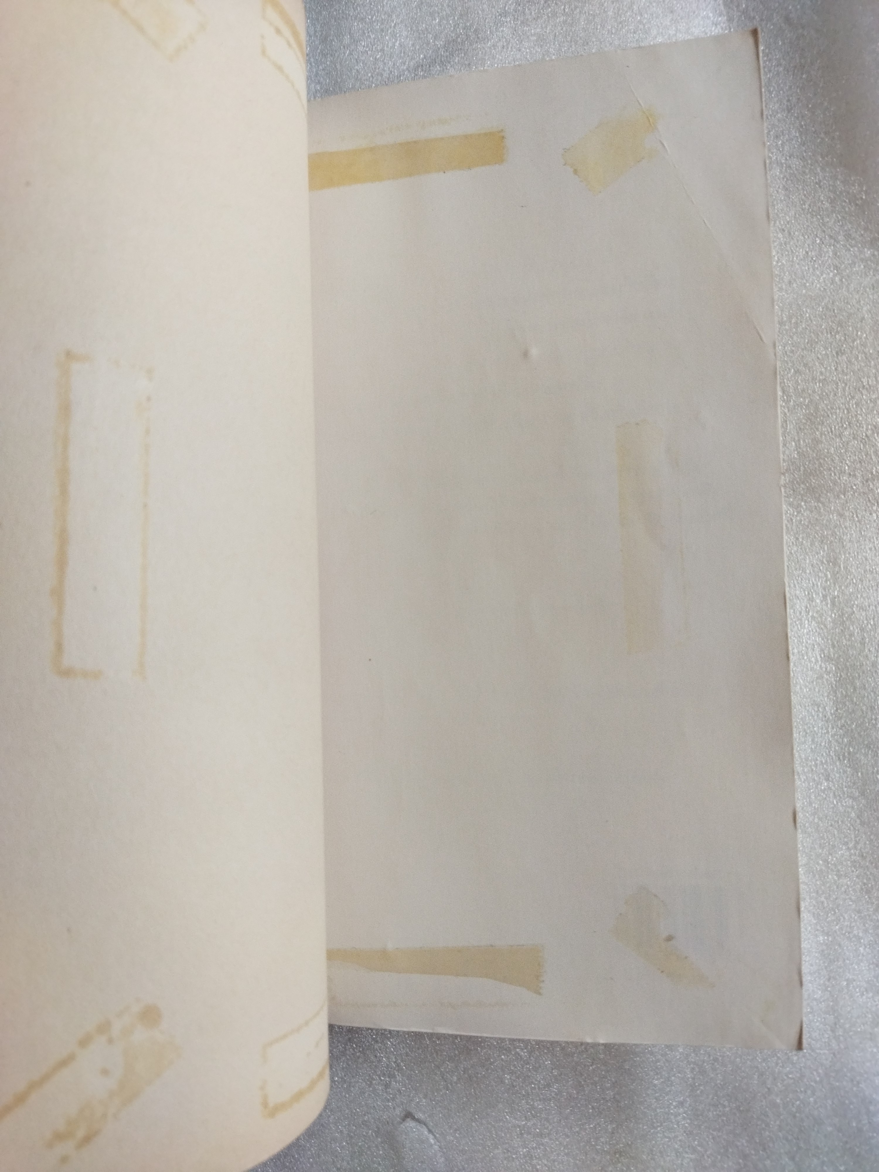 ปาฏิหาริย์รักต่างภพ / มาร์ก เลอวี