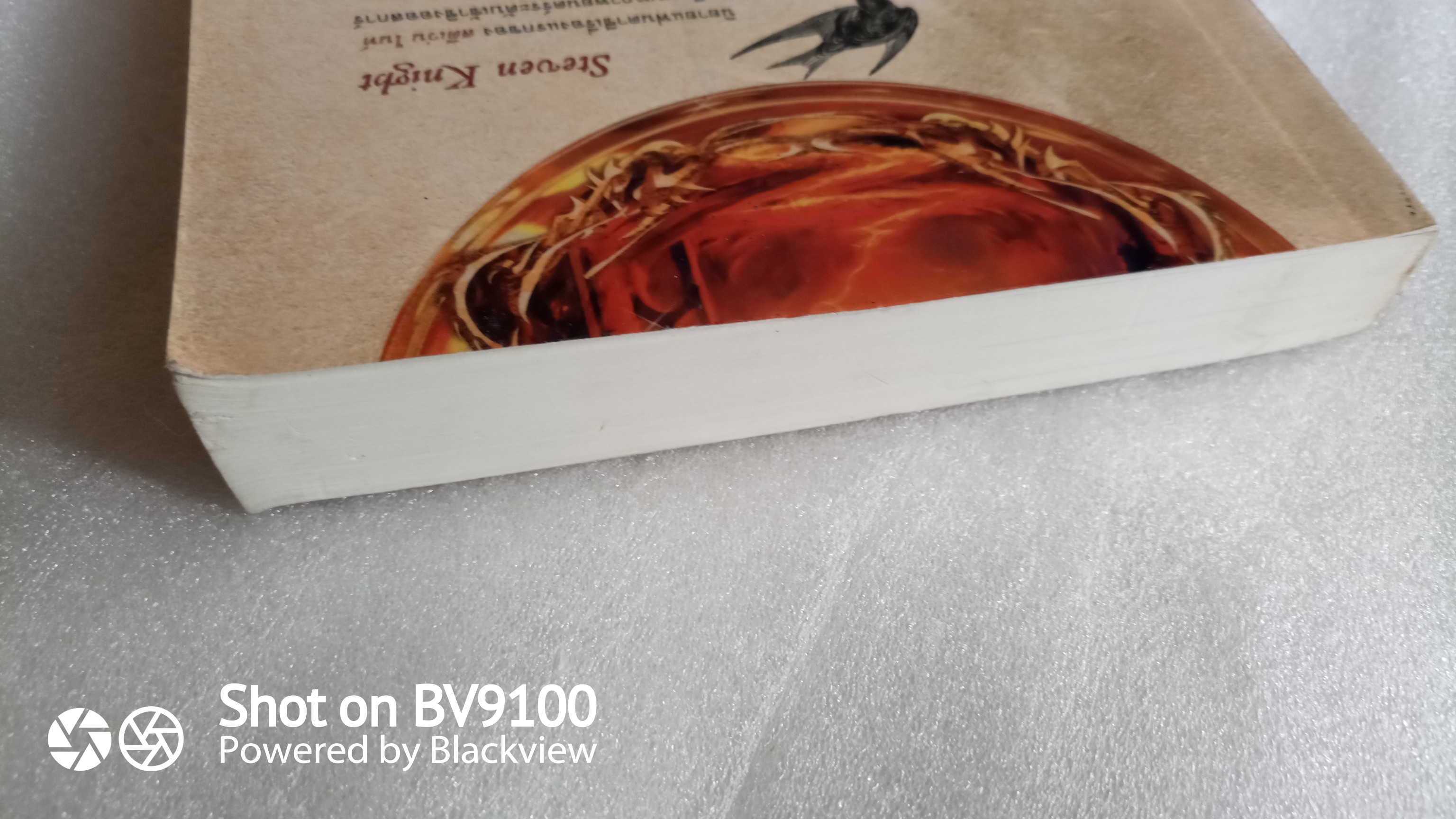 วิล วูล์ฟกิน ราชบัลลังก์ใต้ธารน้ำแข็ง / สตีเว่น ไนท์