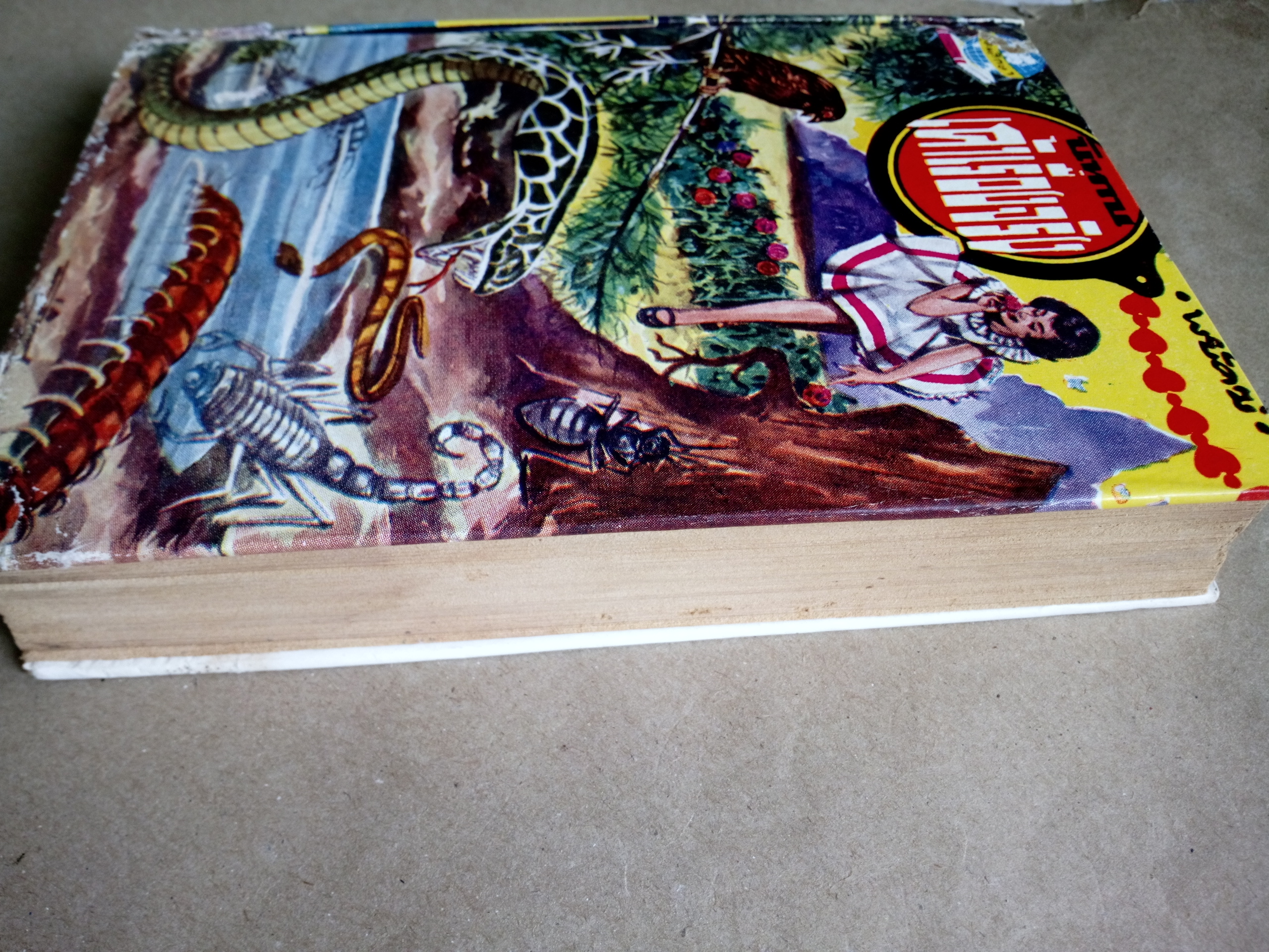 นิทานเค้าเรื่องจริง