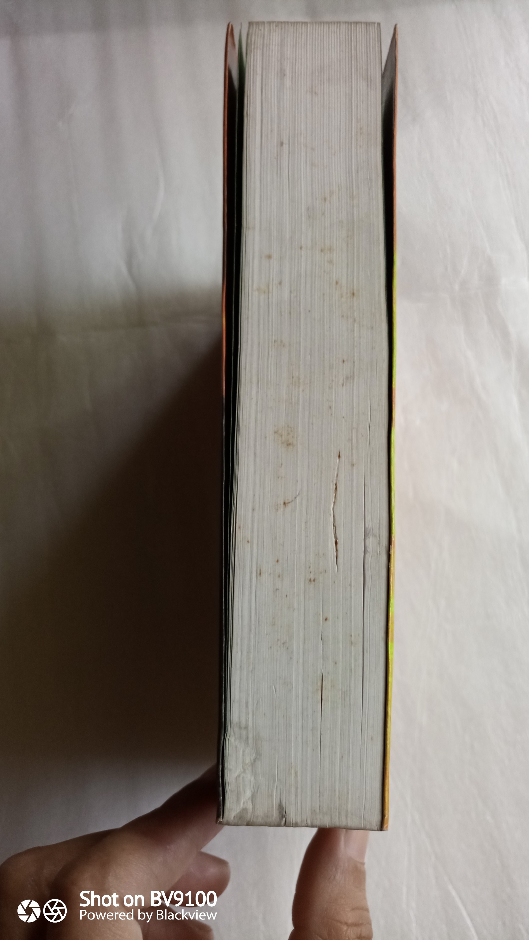 ลูกรัก / สุวรรณี สุคนธา