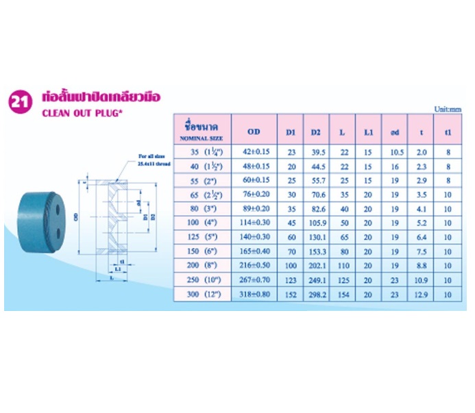 ท่อสั้นฝาปิดเกลียวมือ (Clean Out Plug)