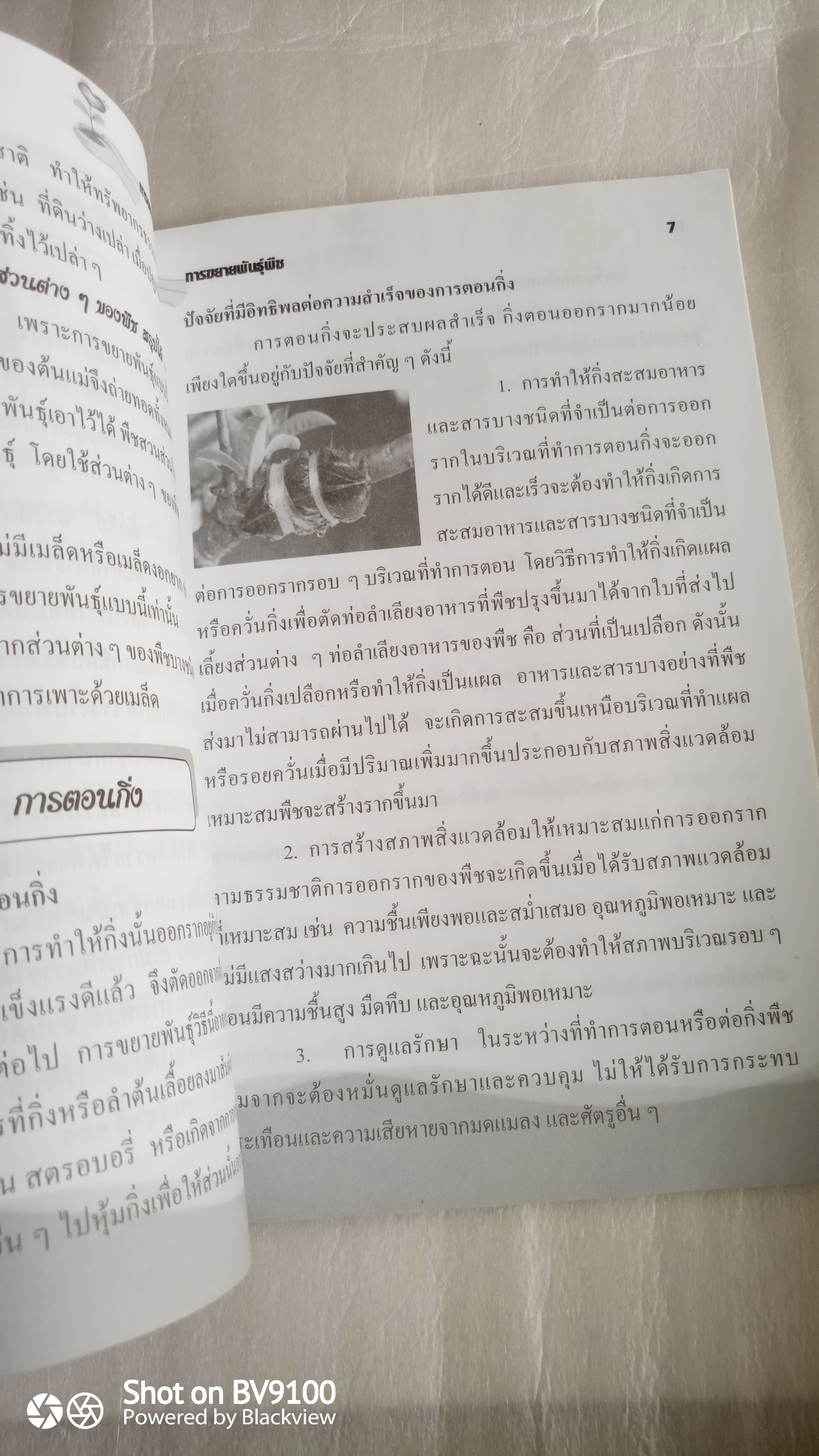 การขยายพันธุ์พืช