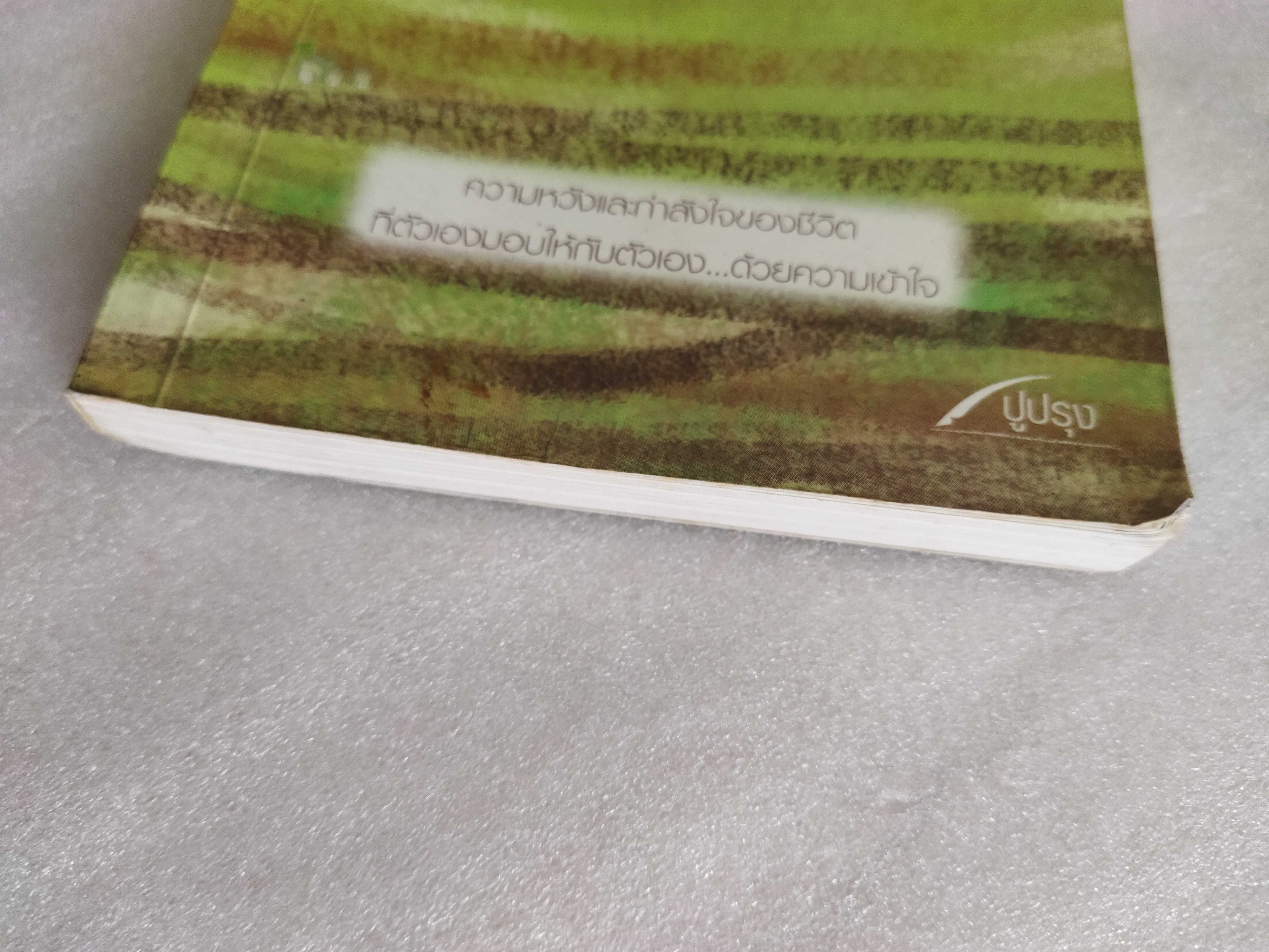 ถ้ามันเหนื่อยเกินไป...ก็พาหัวใจกลับบ้าน / ปูปรุง