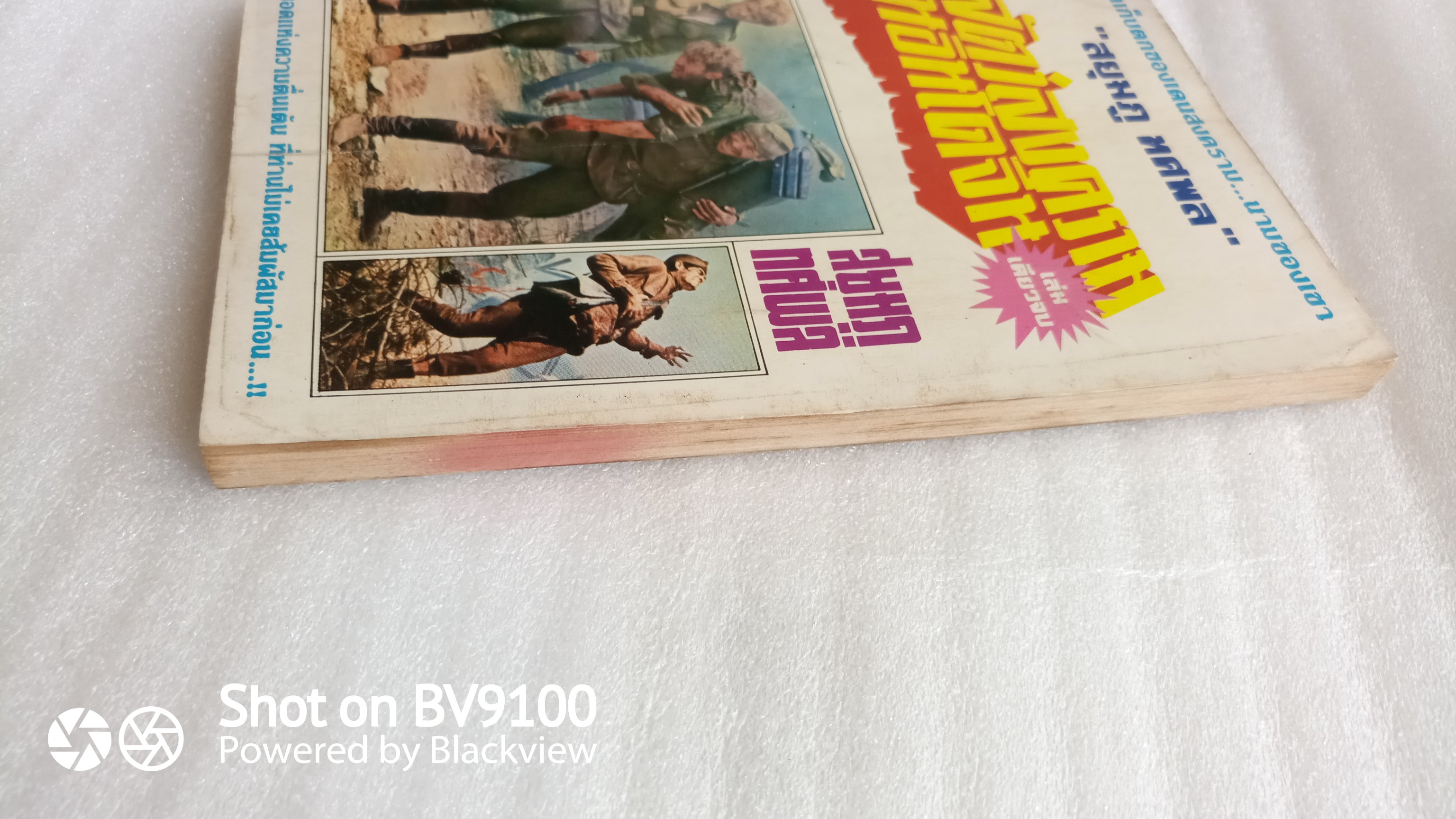 สัตว์สงครามในอินโดจีน / ทศพล สยุมภู