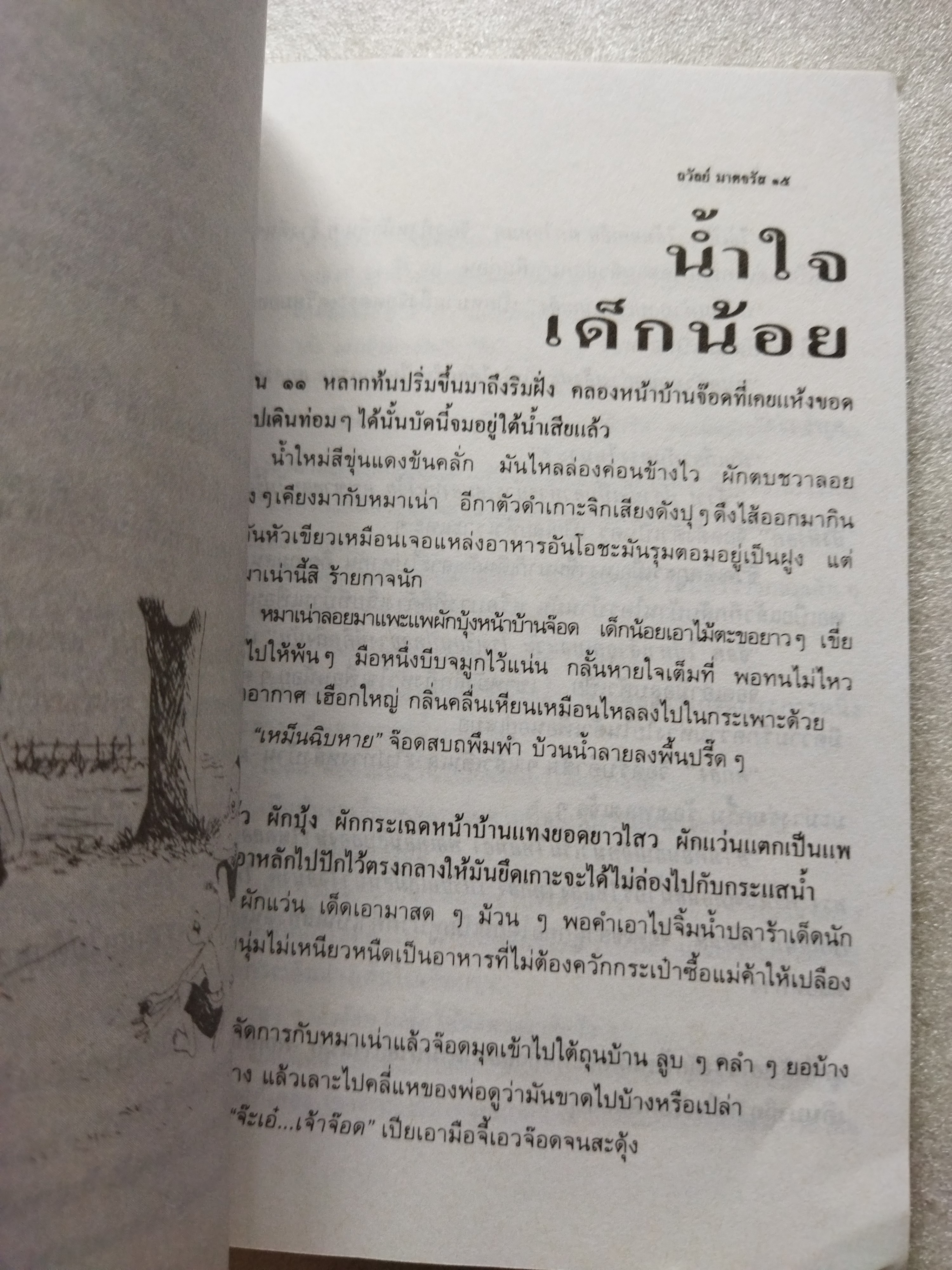 ในทุ่งกว้าง / ถวัลย์ มาศจรัส