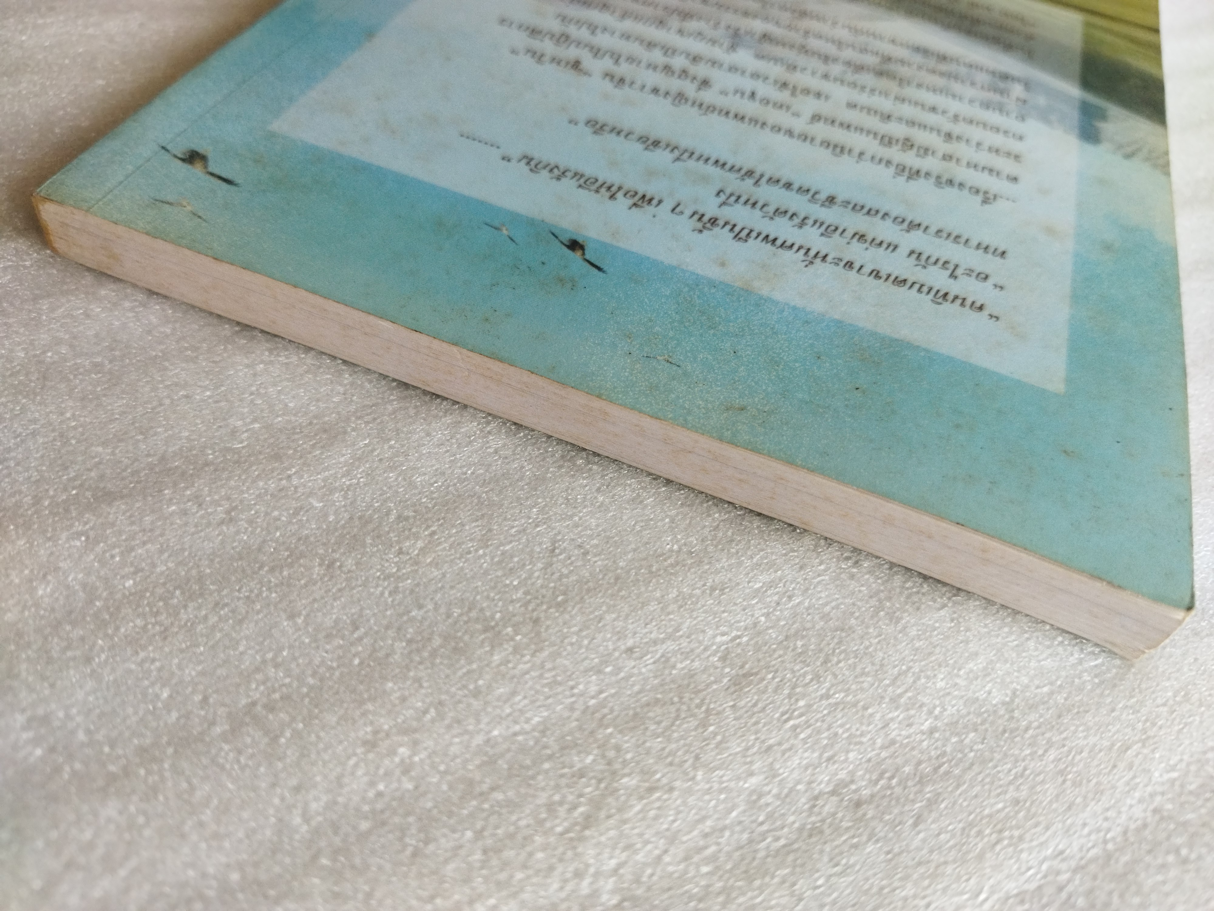 ฝังเธอที่ปลายฟ้า sky burial / ซินหรัน