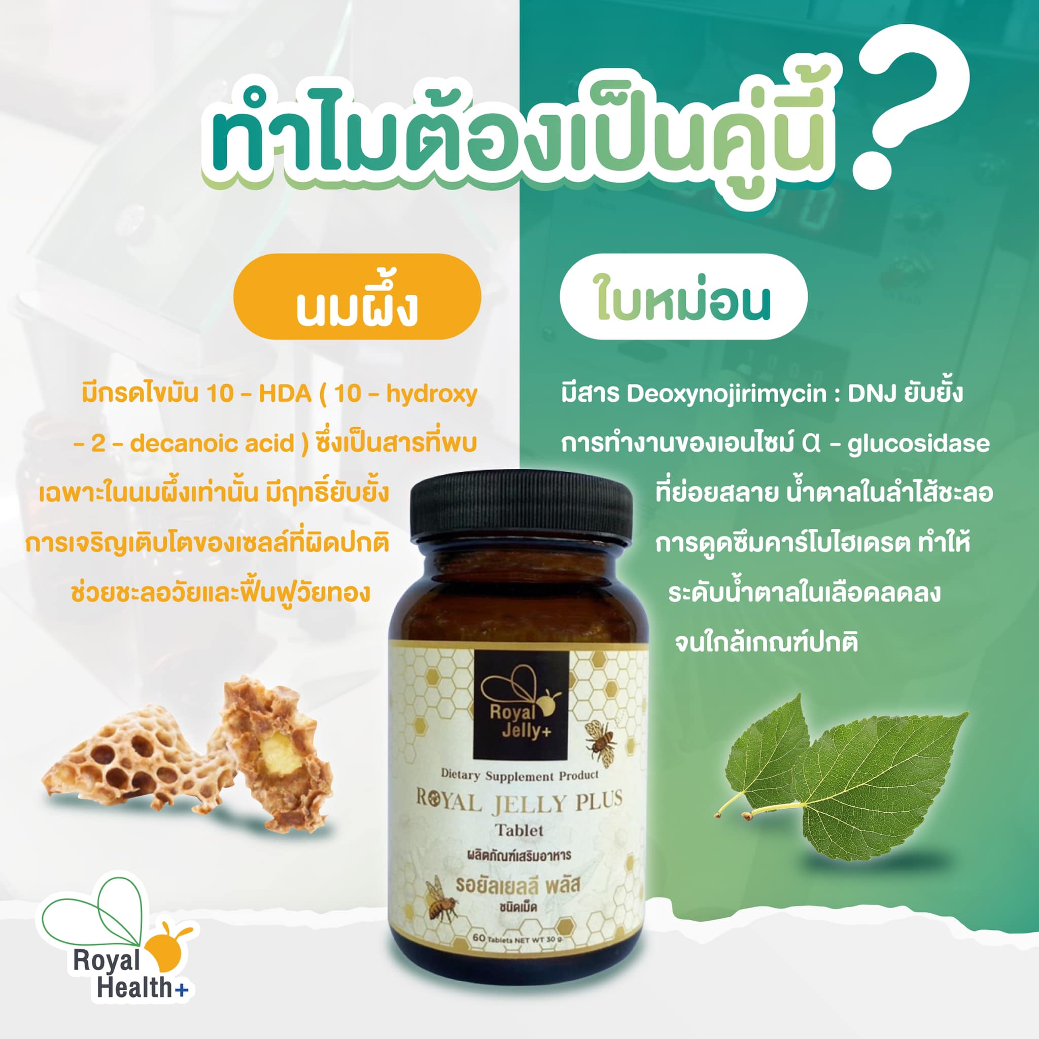 [Buy 1 get 1 Free] ROYAL JELLY Plus Mulberry leaf (1 แถม 1 )