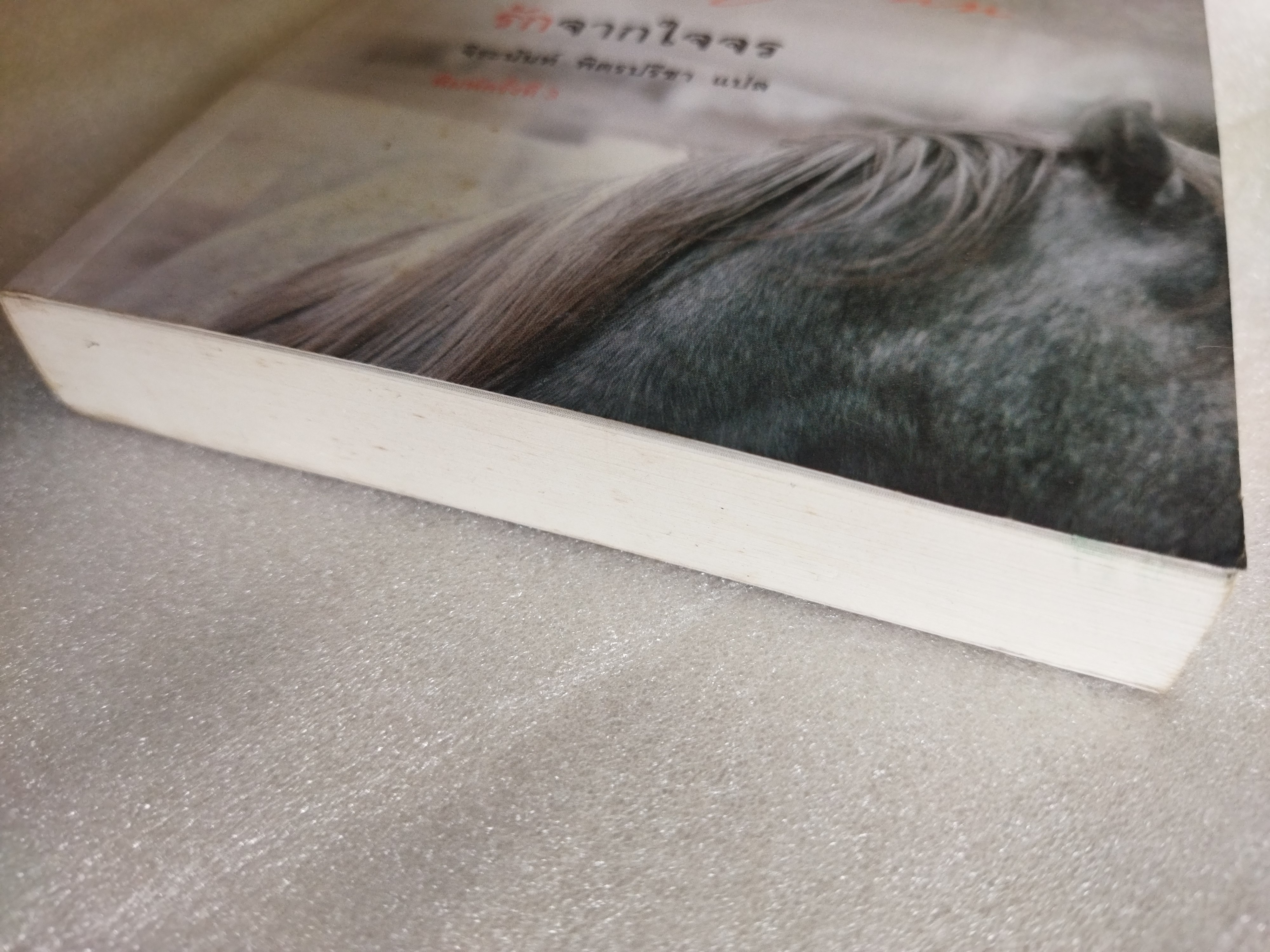 รักจากใจจร (Dear John) / Nicholas Sparks