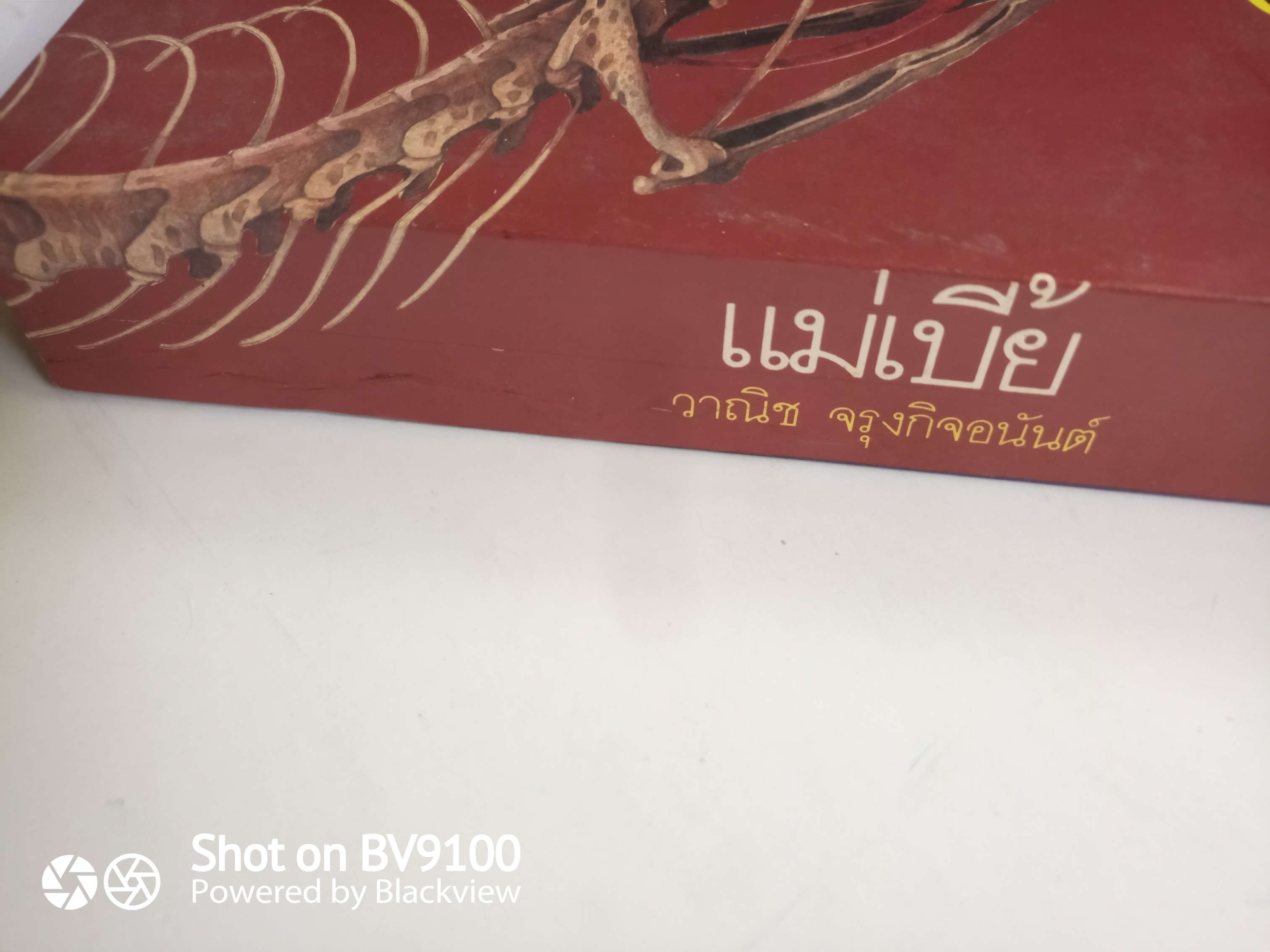 แม่เบี้ย