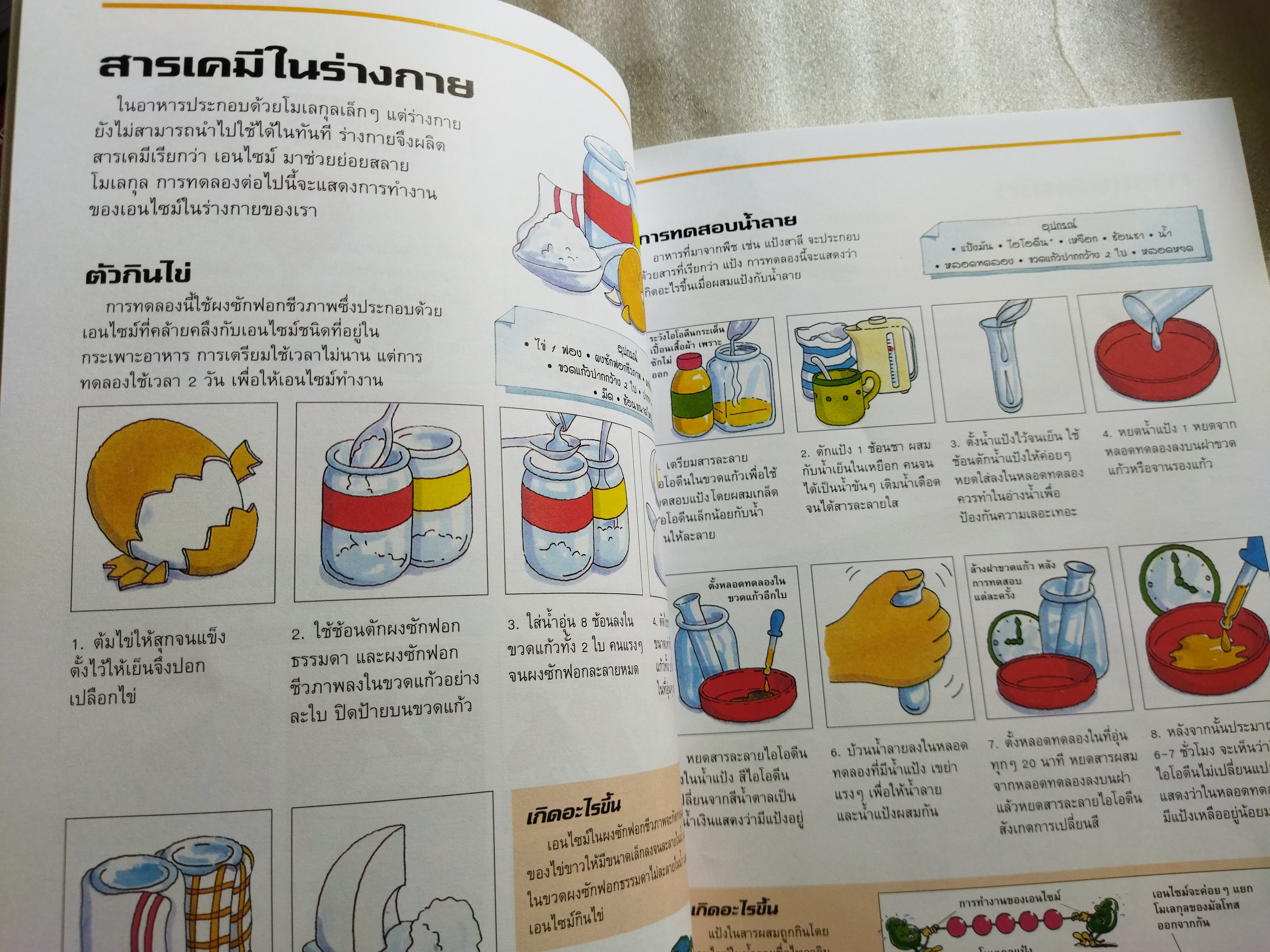 สนุกสุดท้าทายกับการทดลอง