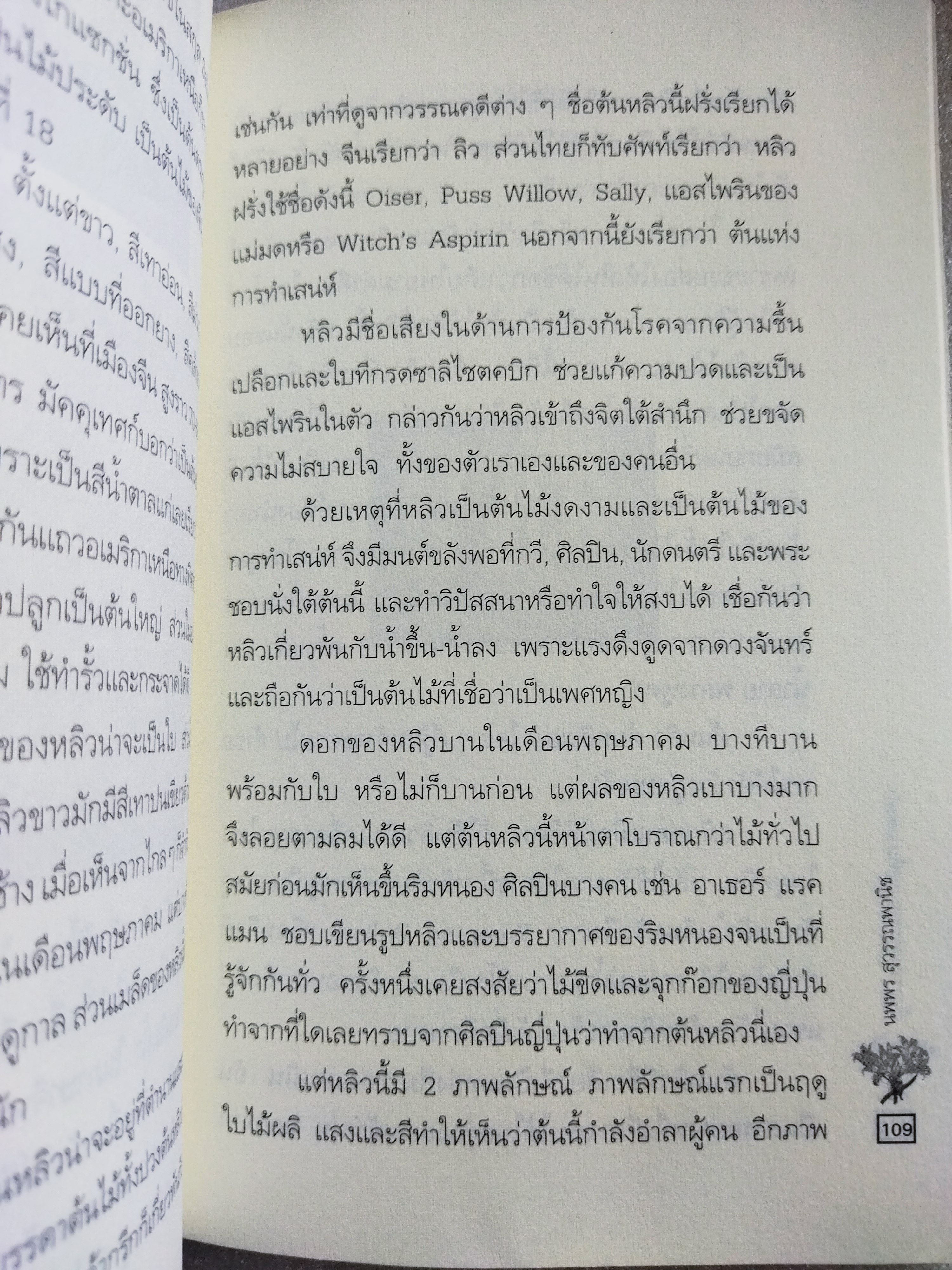 เรื่องราวแห่งสวนและที่มาแห่งคำ / นพพร สุวรรณพานิช