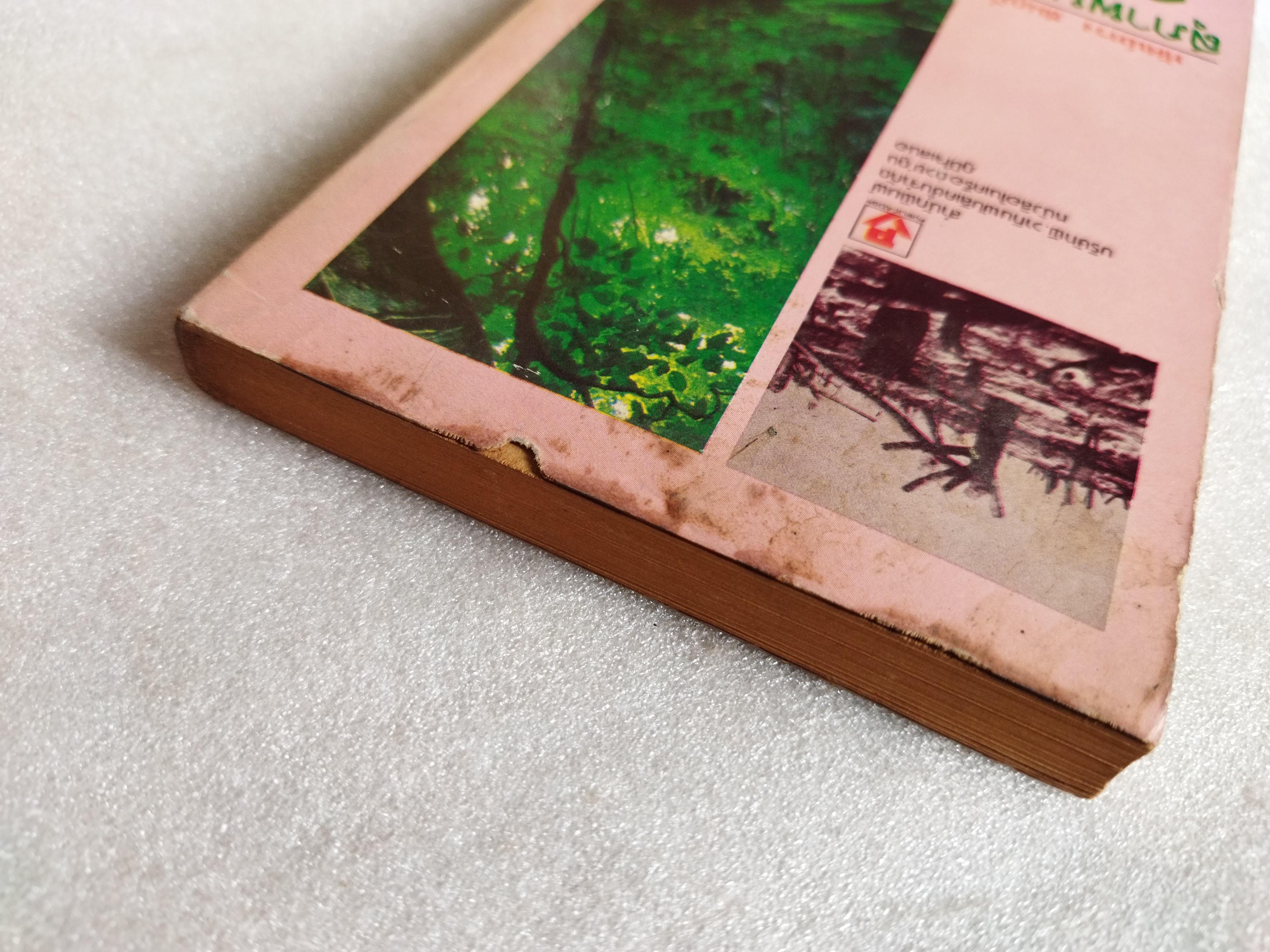 สุภาพบุรุษภูธร/ ทัศน์ทรง ชมภูมิ่ง