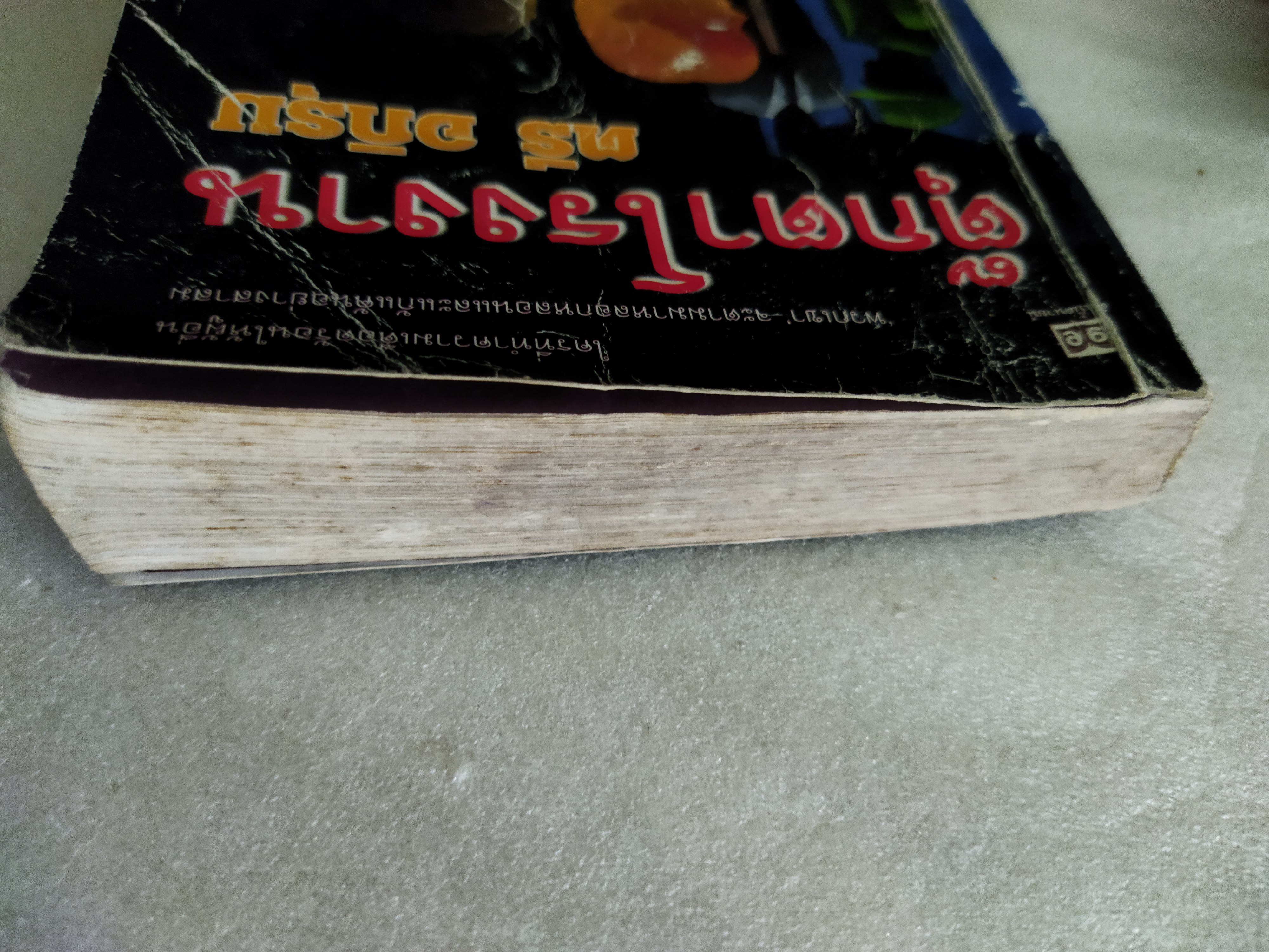 ตุ๊กตาโรงงาน / ตรี อภิรุม