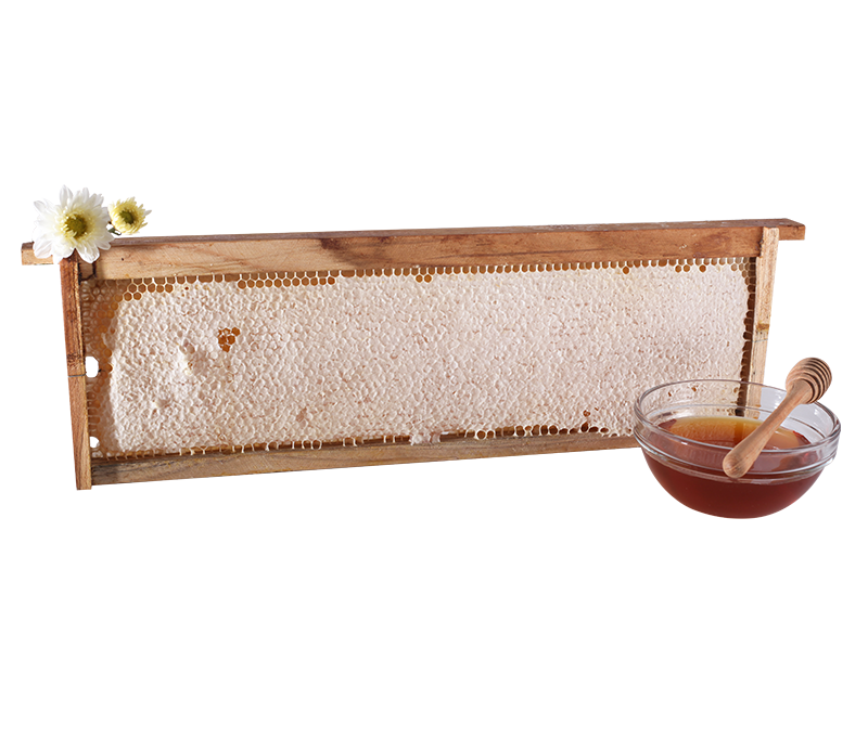 รวงรังผึ้งคอนไม้ (Honey Comb 1.5kg)