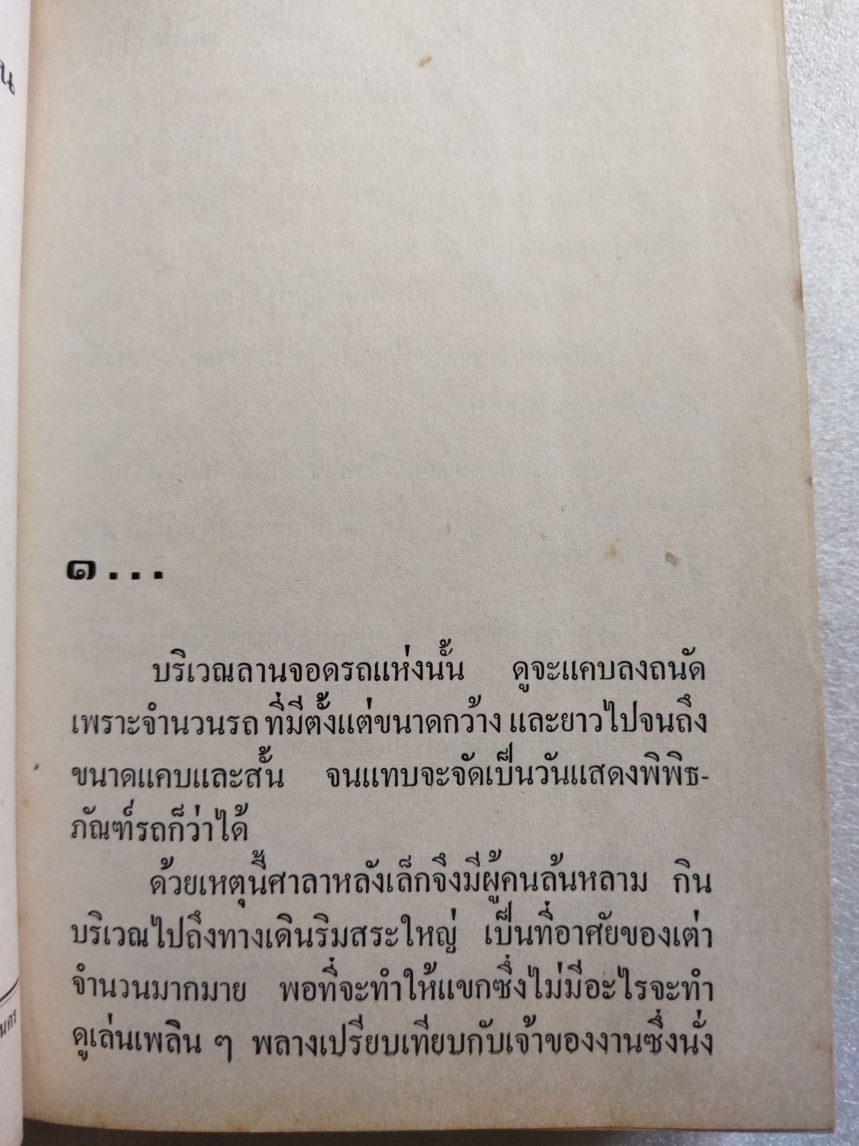 พ่อม่ายทีเด็ด / กนกเรขา