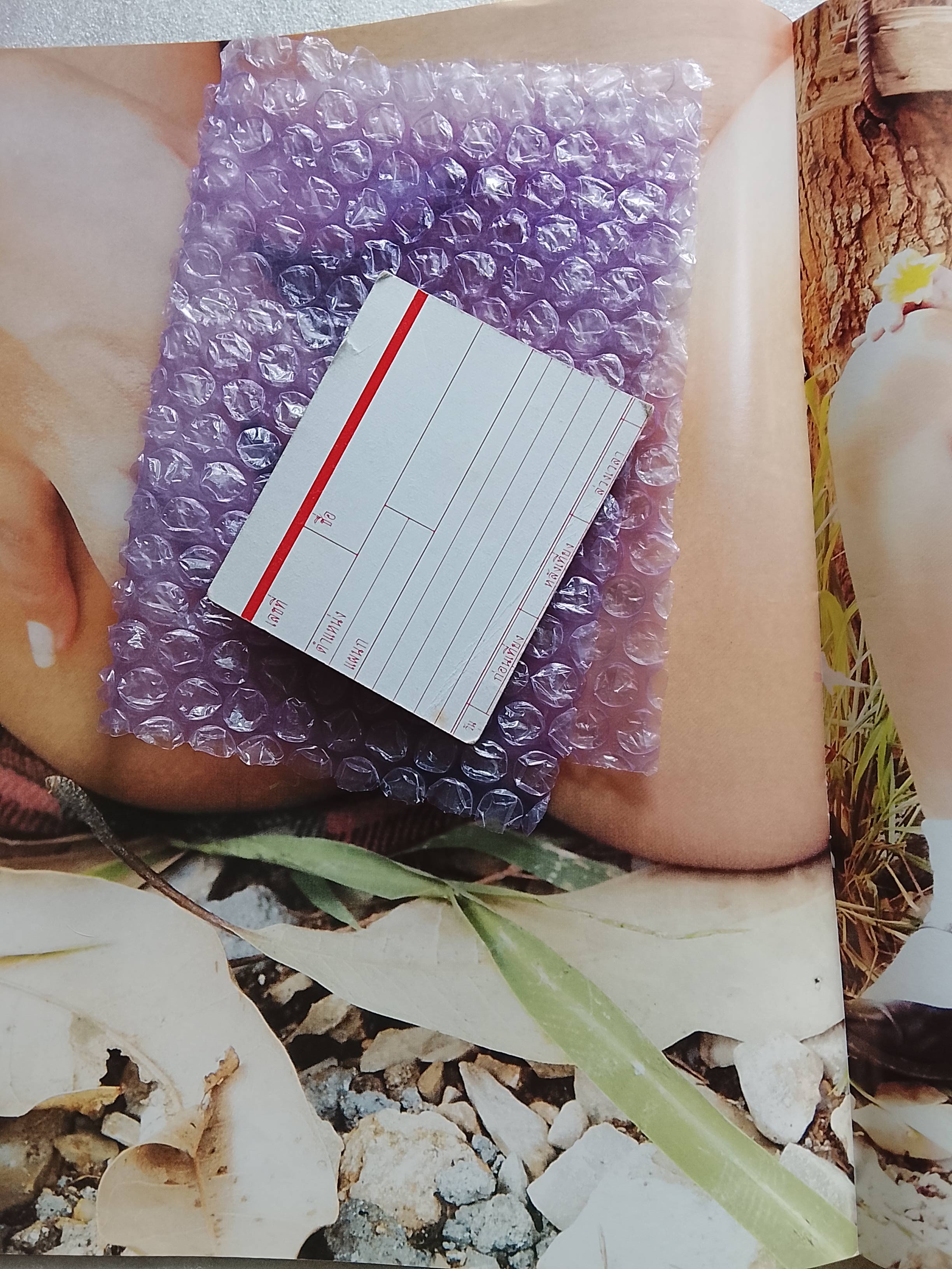 จันทร์ฉาย 10