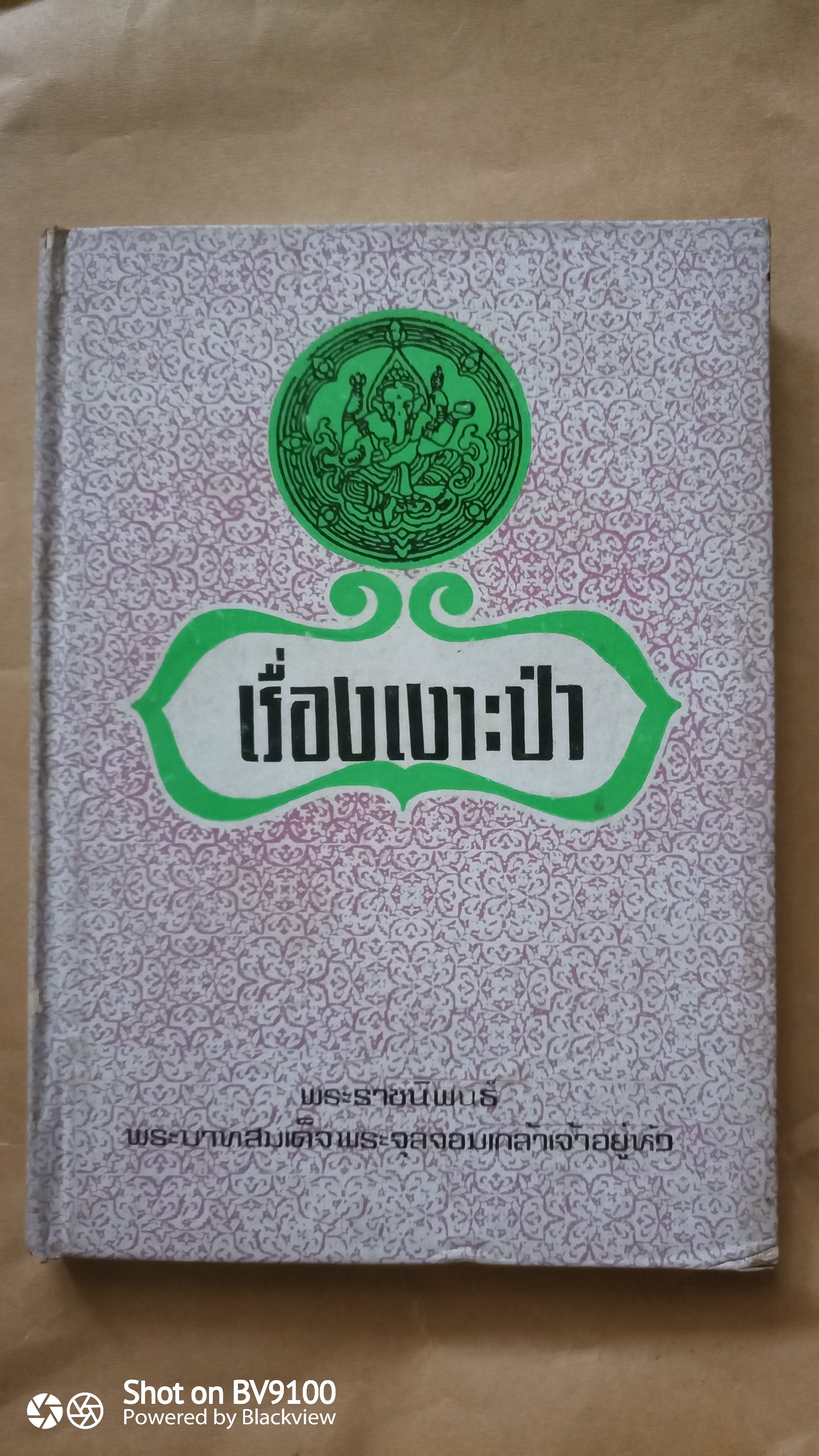 เงาะป่า