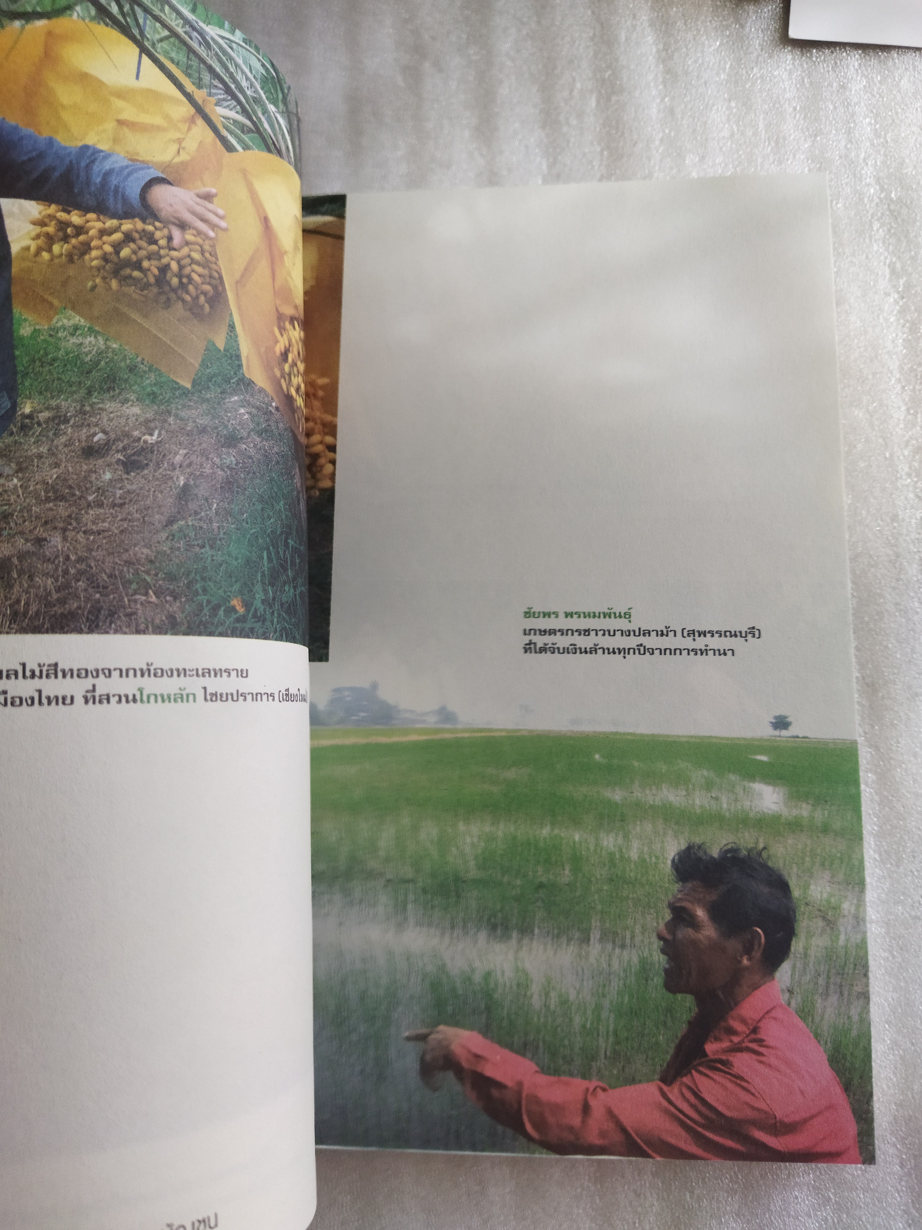 เรื่องมหัศจรรย์ธรรมดาของสามัญชน