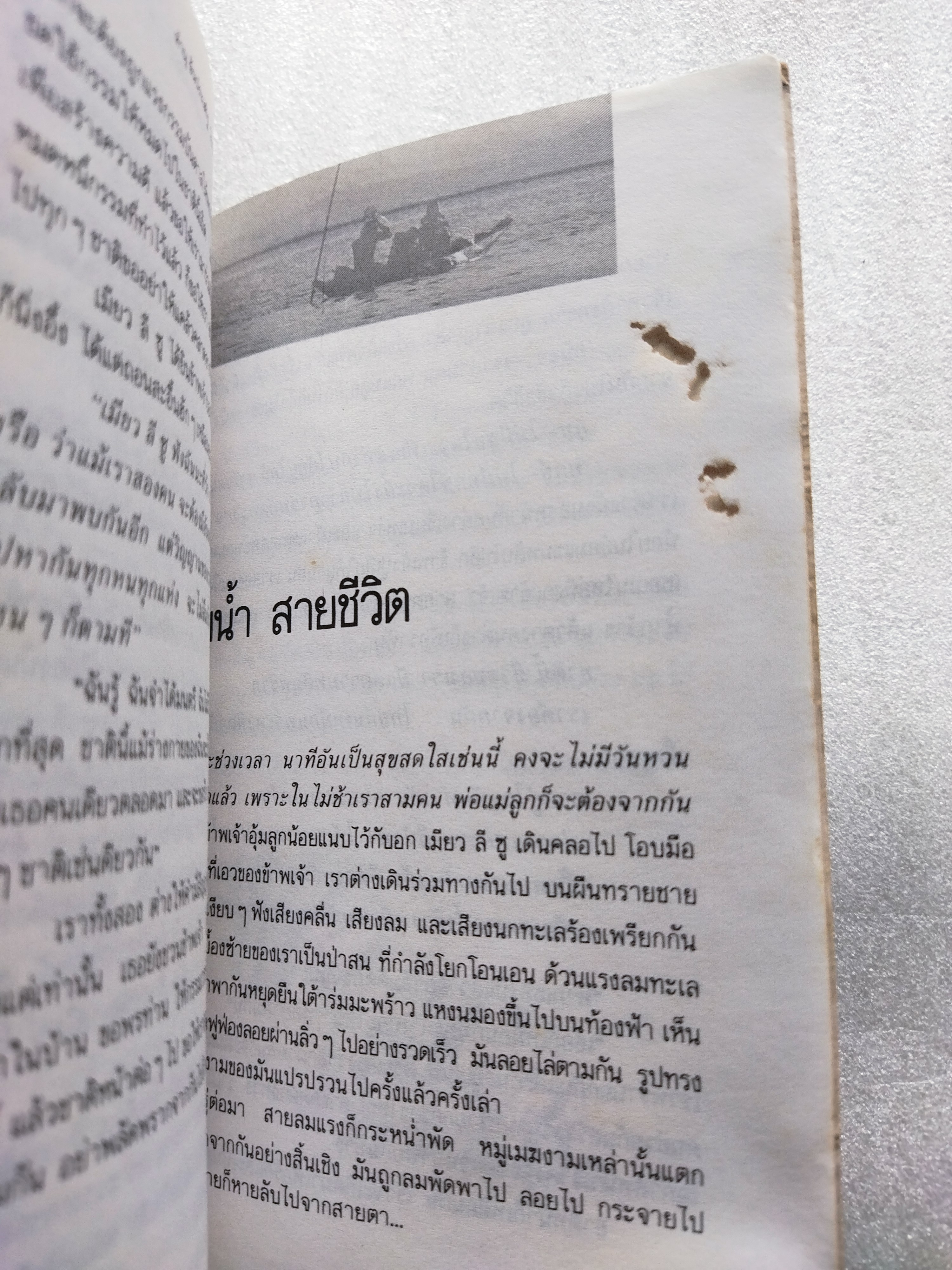 สายน้ำสายชีวิต / ทำนุ อ้นประเสริฐ