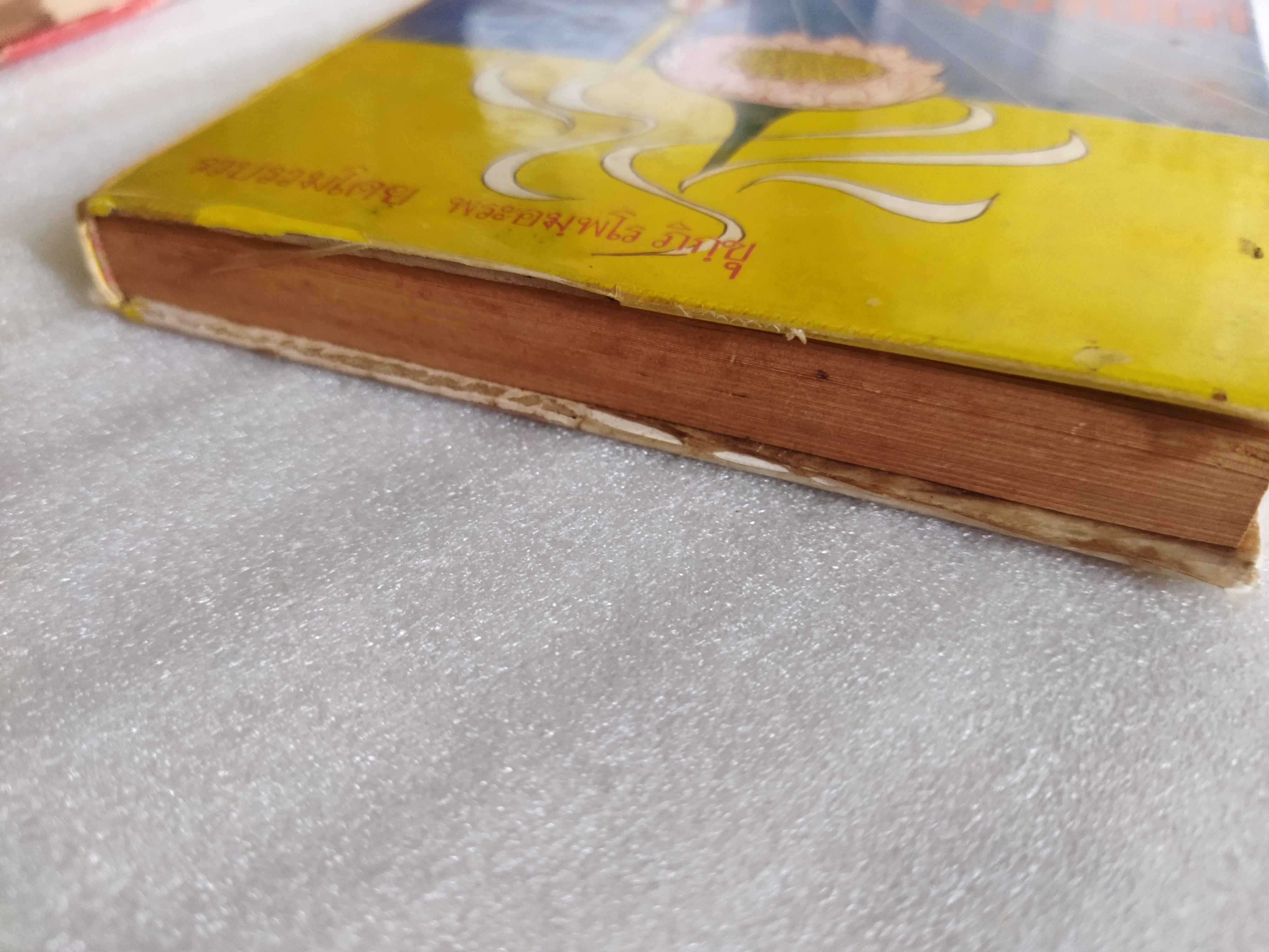 ปาริชาติวิญญาณกับการธุดงค์