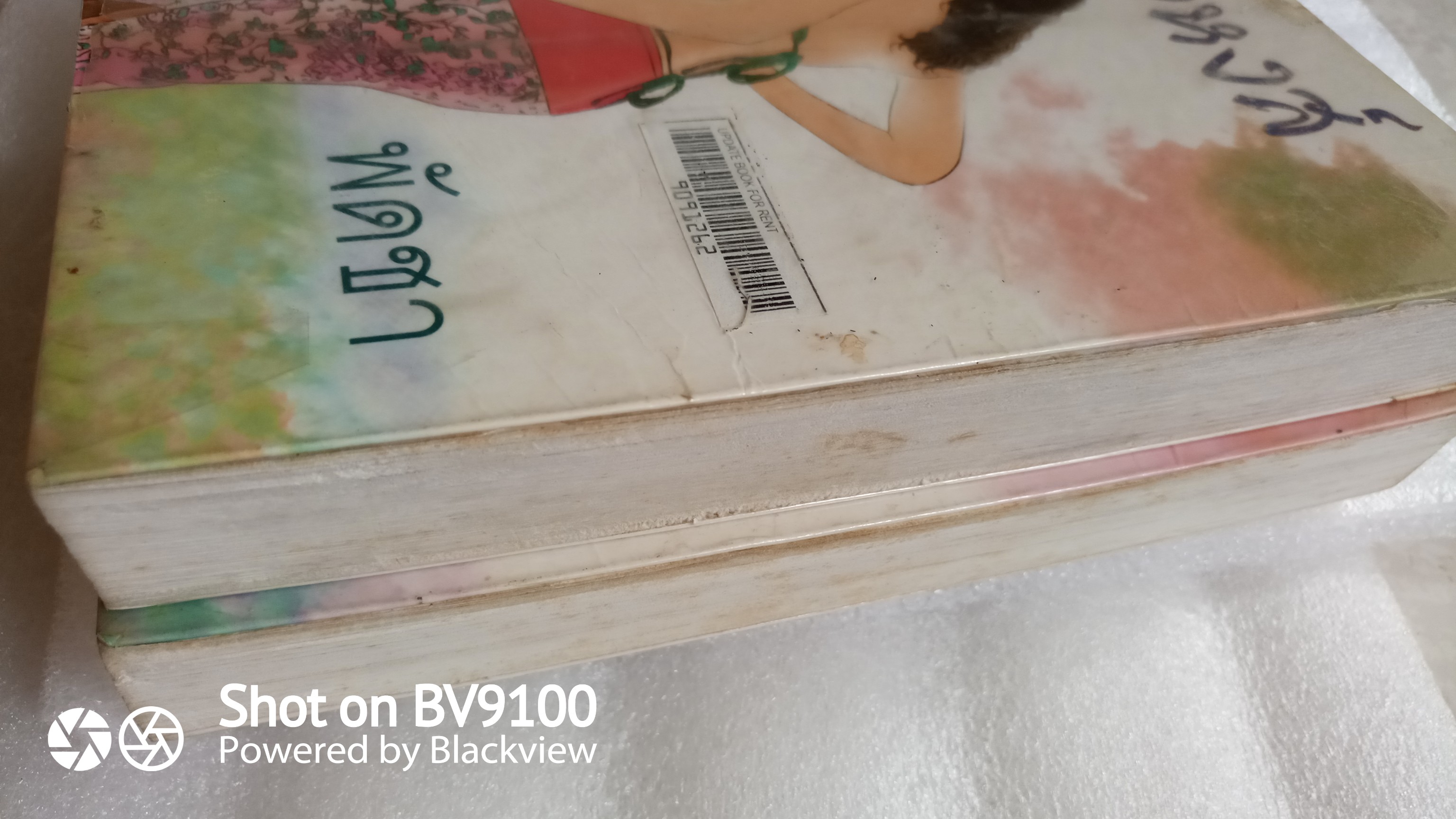 รังหงส์ / พัดชา