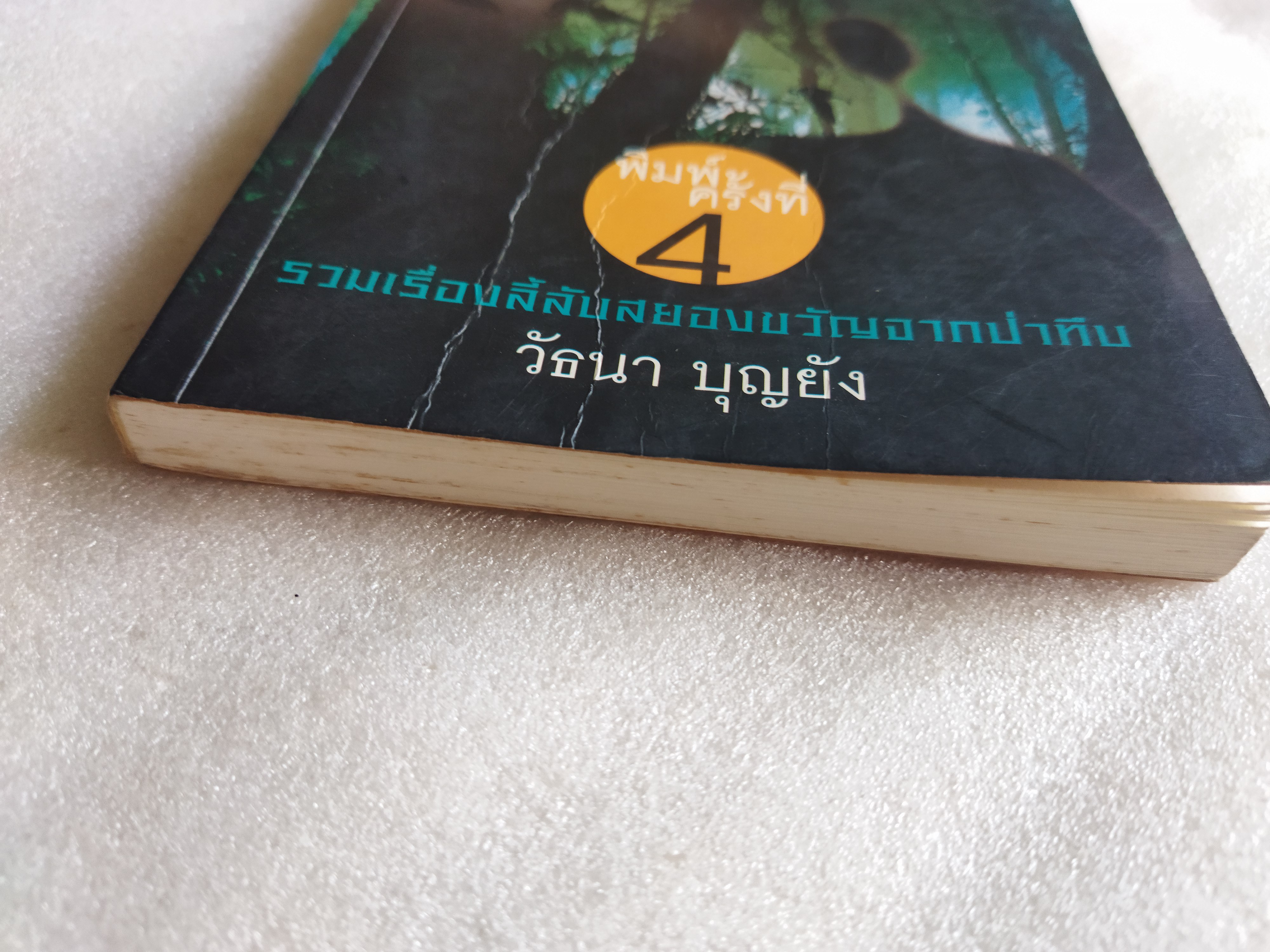 ผีในป่า / วัธนา บุญยัง