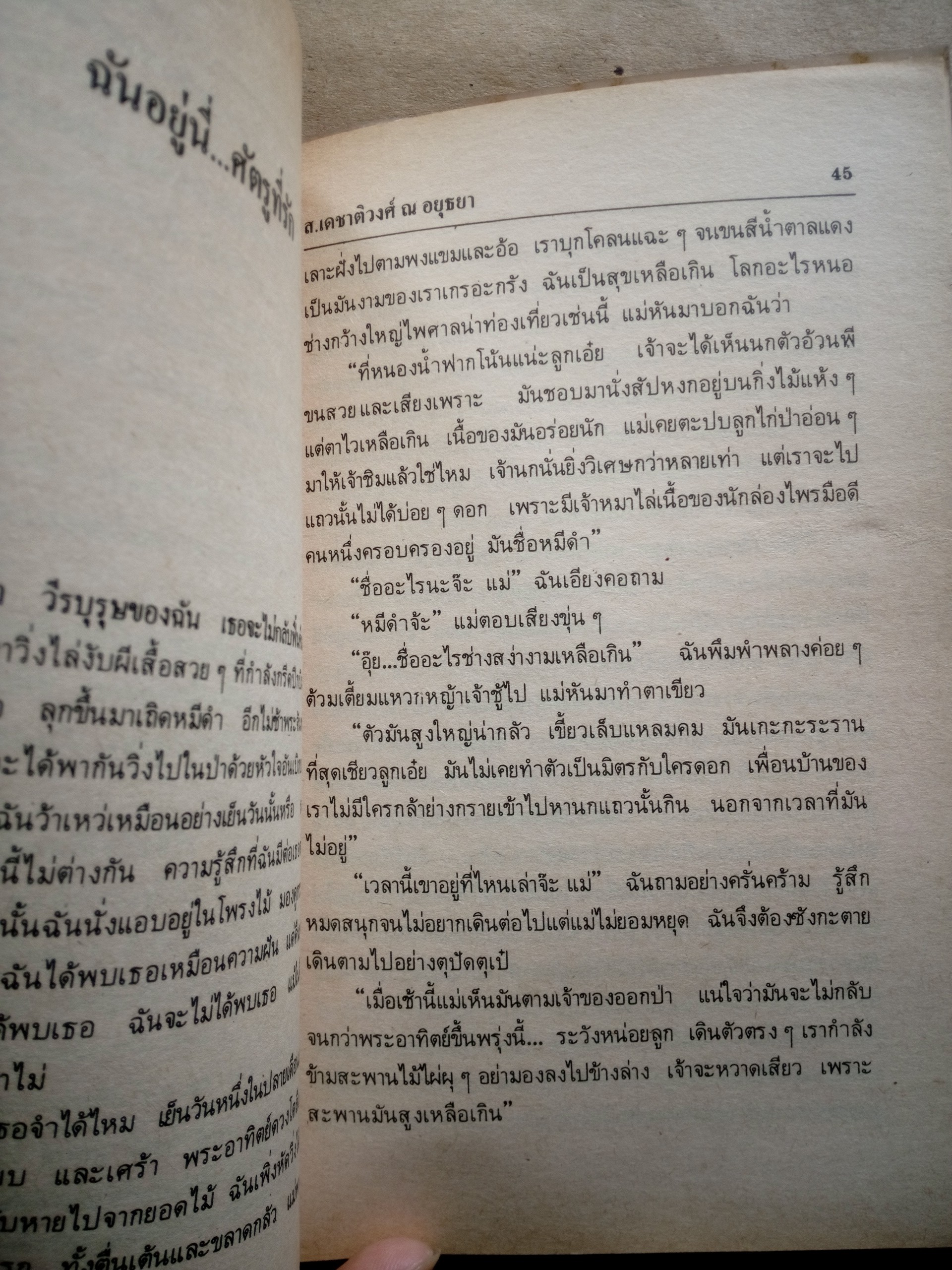 ฉันอยู่นี่ ศัตรูที่รัก